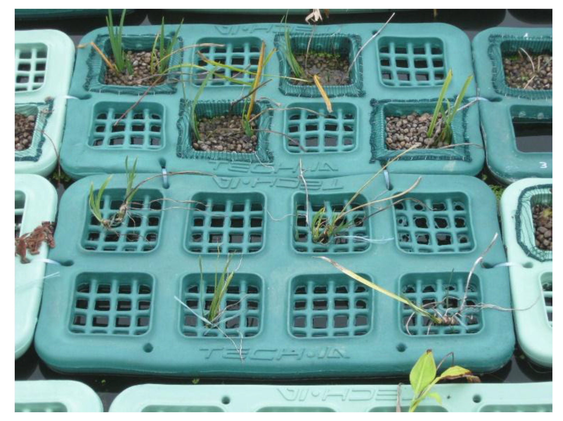 Land 07 00150 g004 Land 07 00150 g004