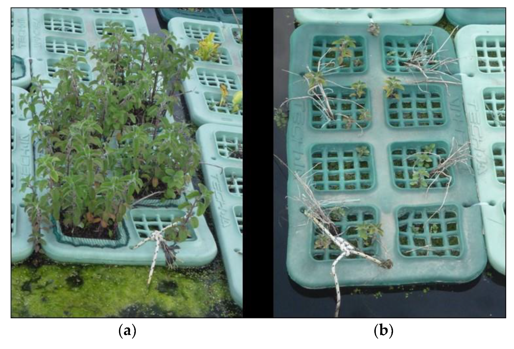 Land 07 00150 g007 Land 07 00150 g007