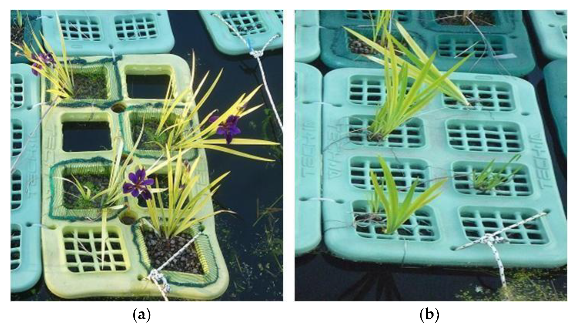 Land 07 00150 g008 Land 07 00150 g008