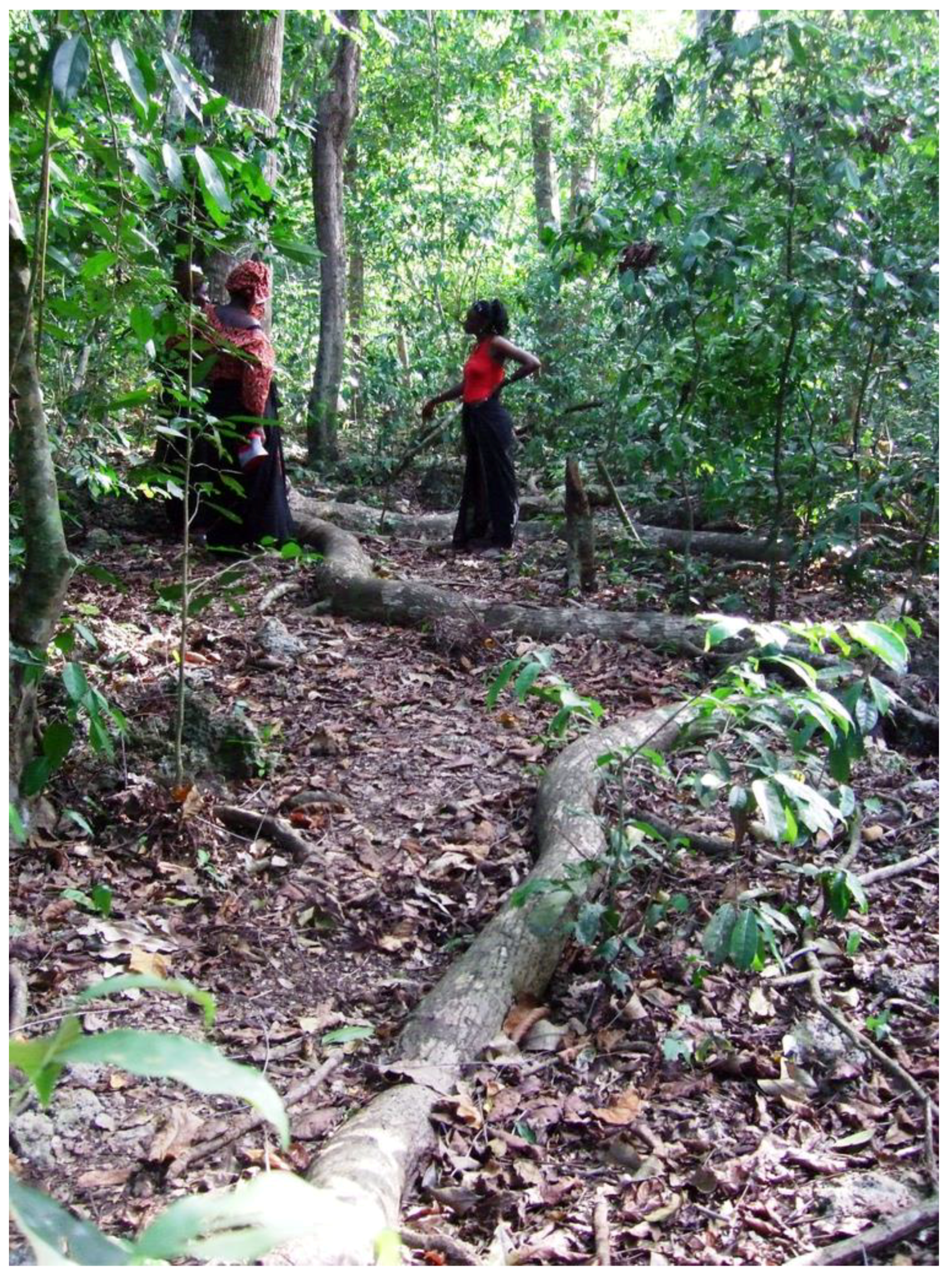 Land 08 00005 g003 Land 08 00005 g003