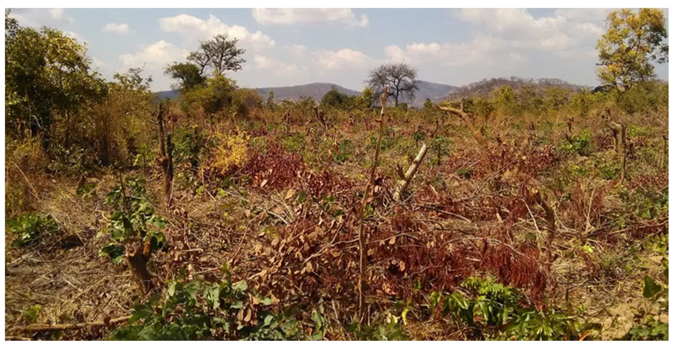 Land 08 00048 g004 Land 08 00048 g004