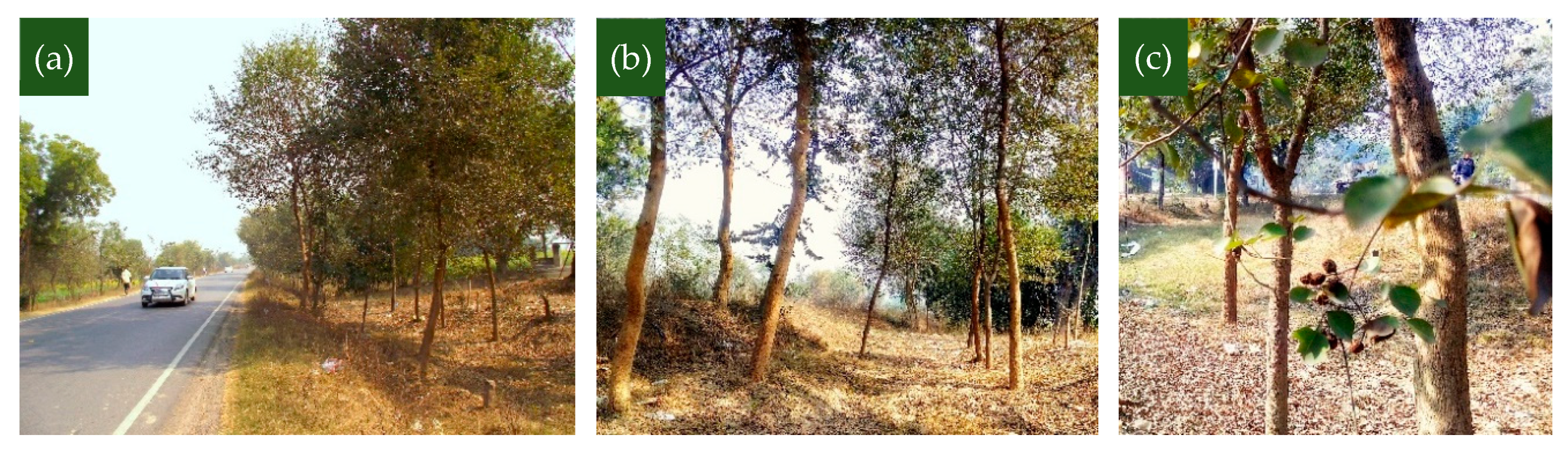 Land 08 00063 g001 Land 08 00063 g001