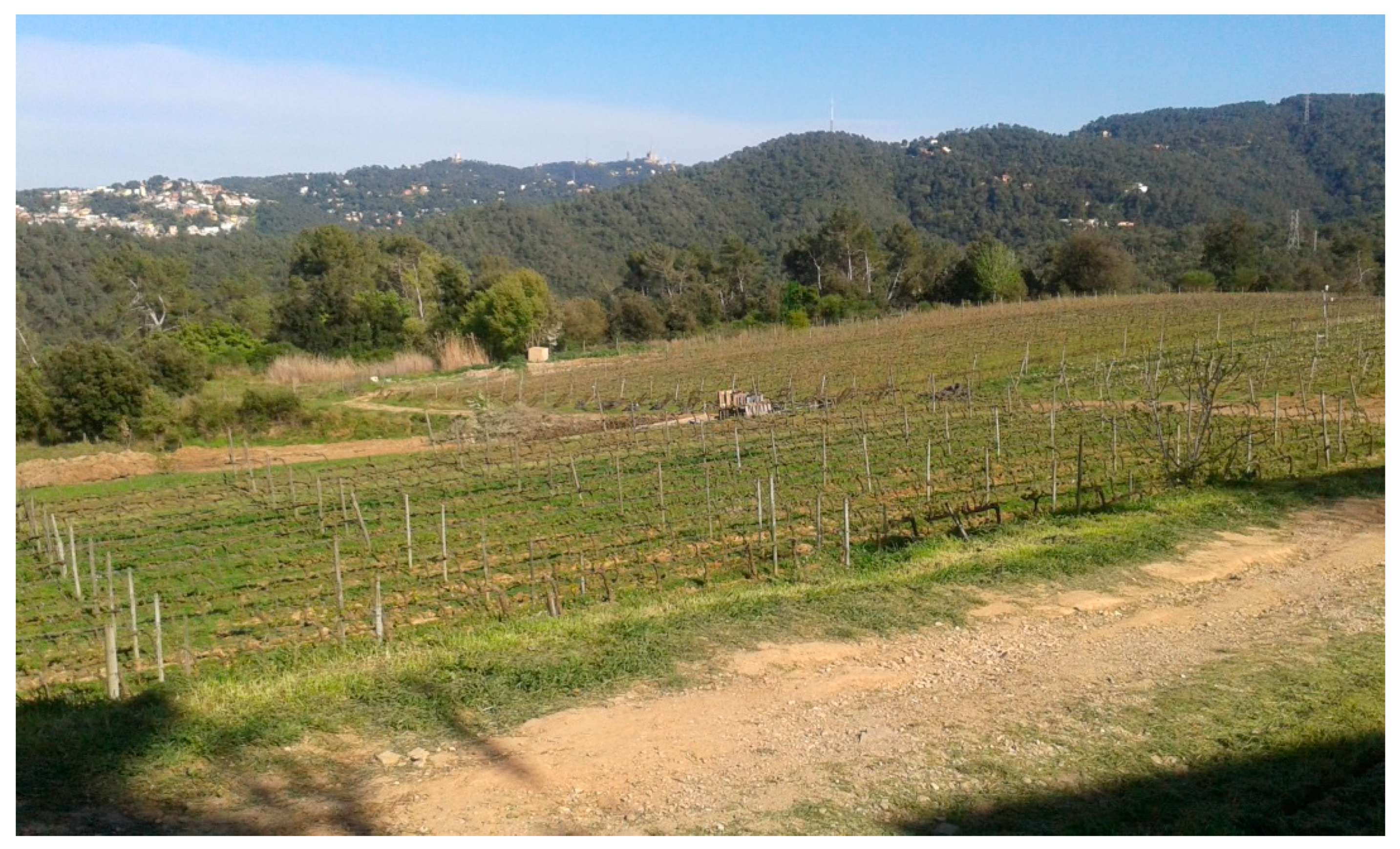 Land 08 00078 g004 Land 08 00078 g004