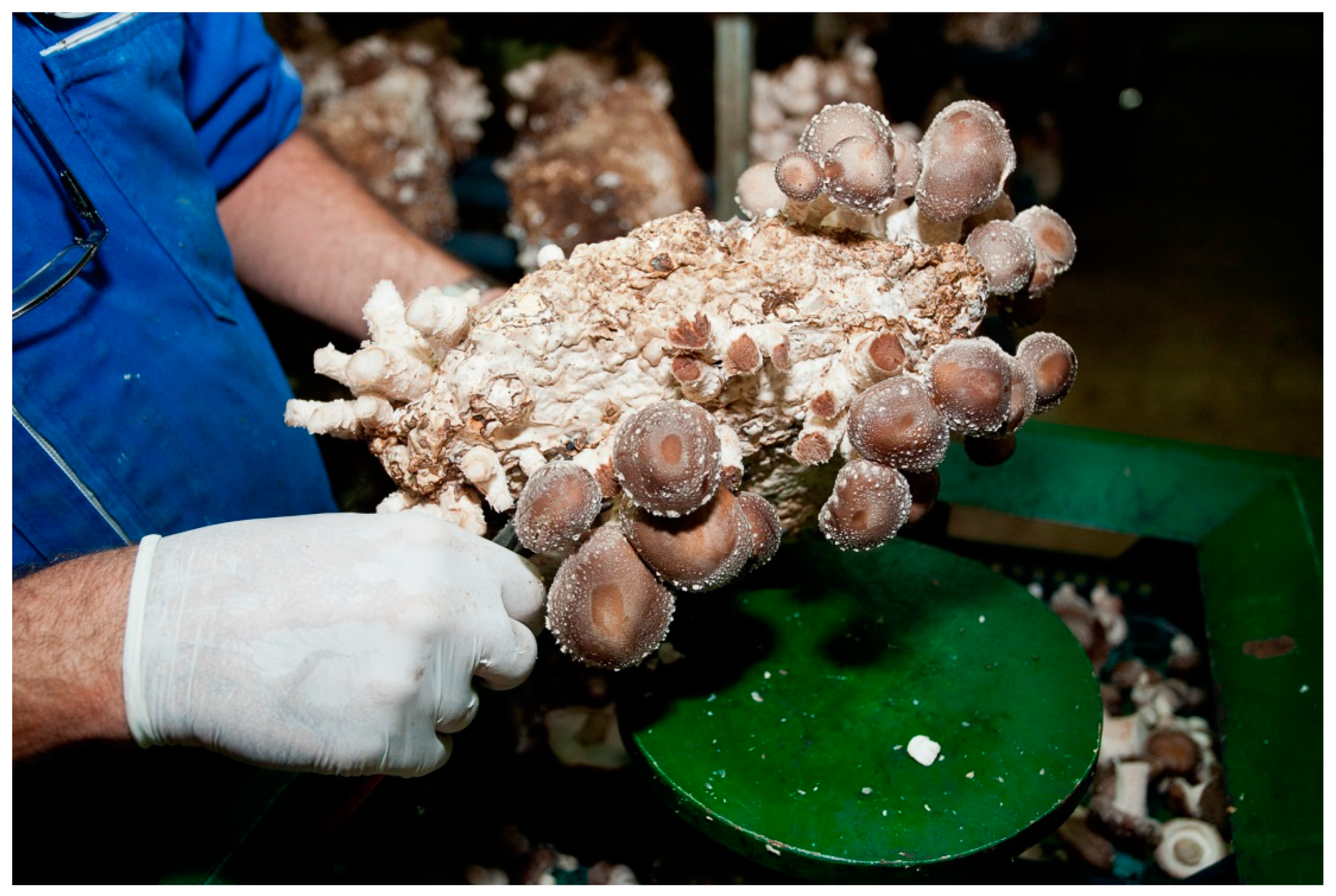 Land 08 00078 g005 Land 08 00078 g005