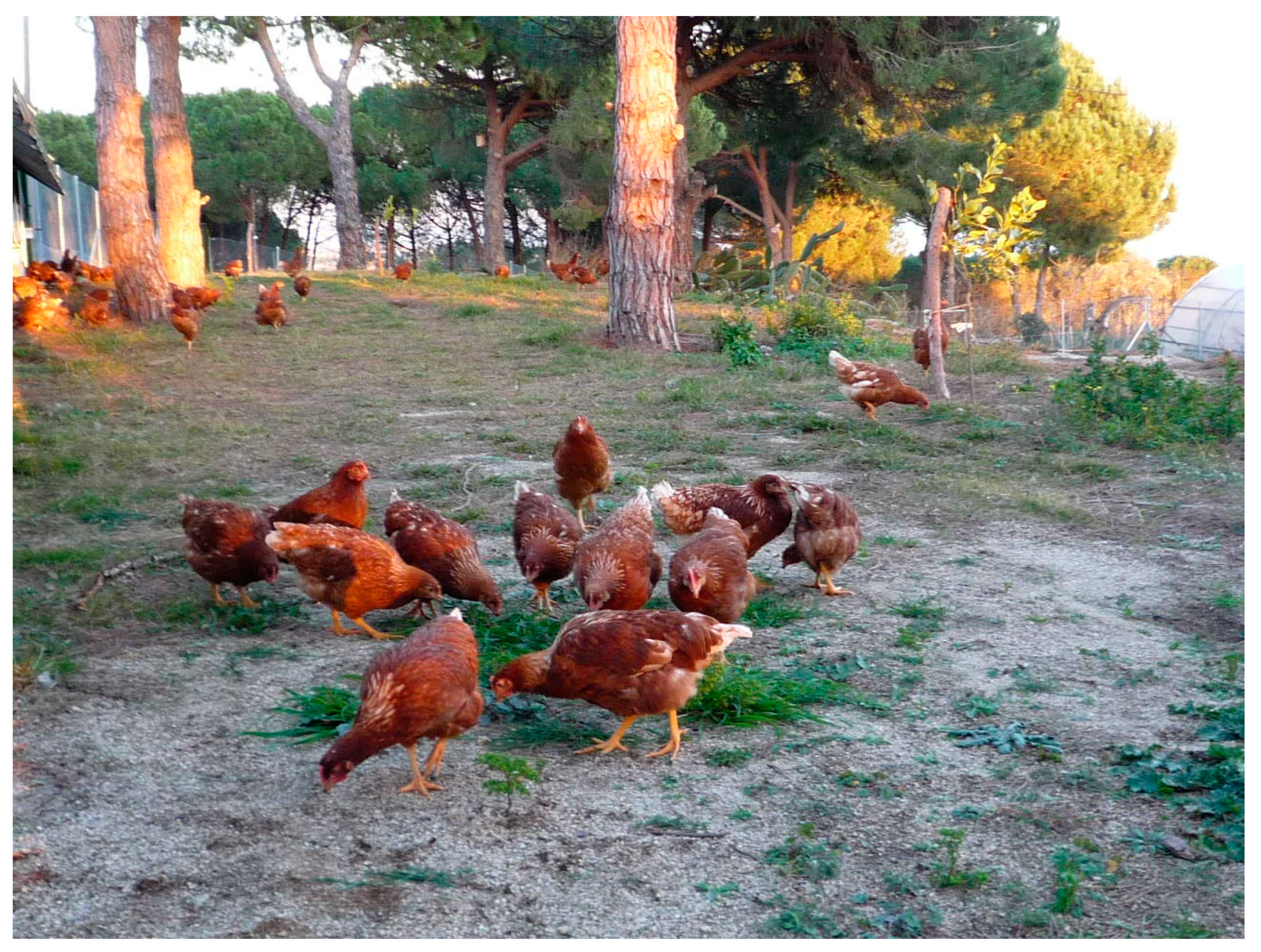 Land 08 00078 g006 Land 08 00078 g006