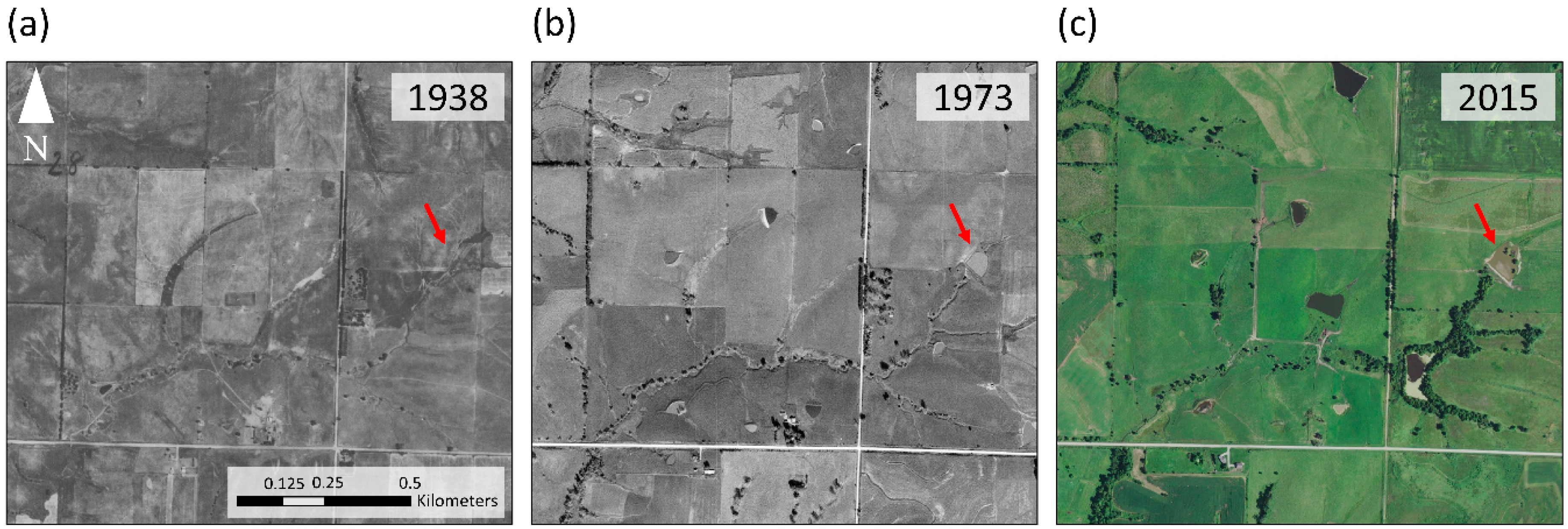 Land 08 00127 g001