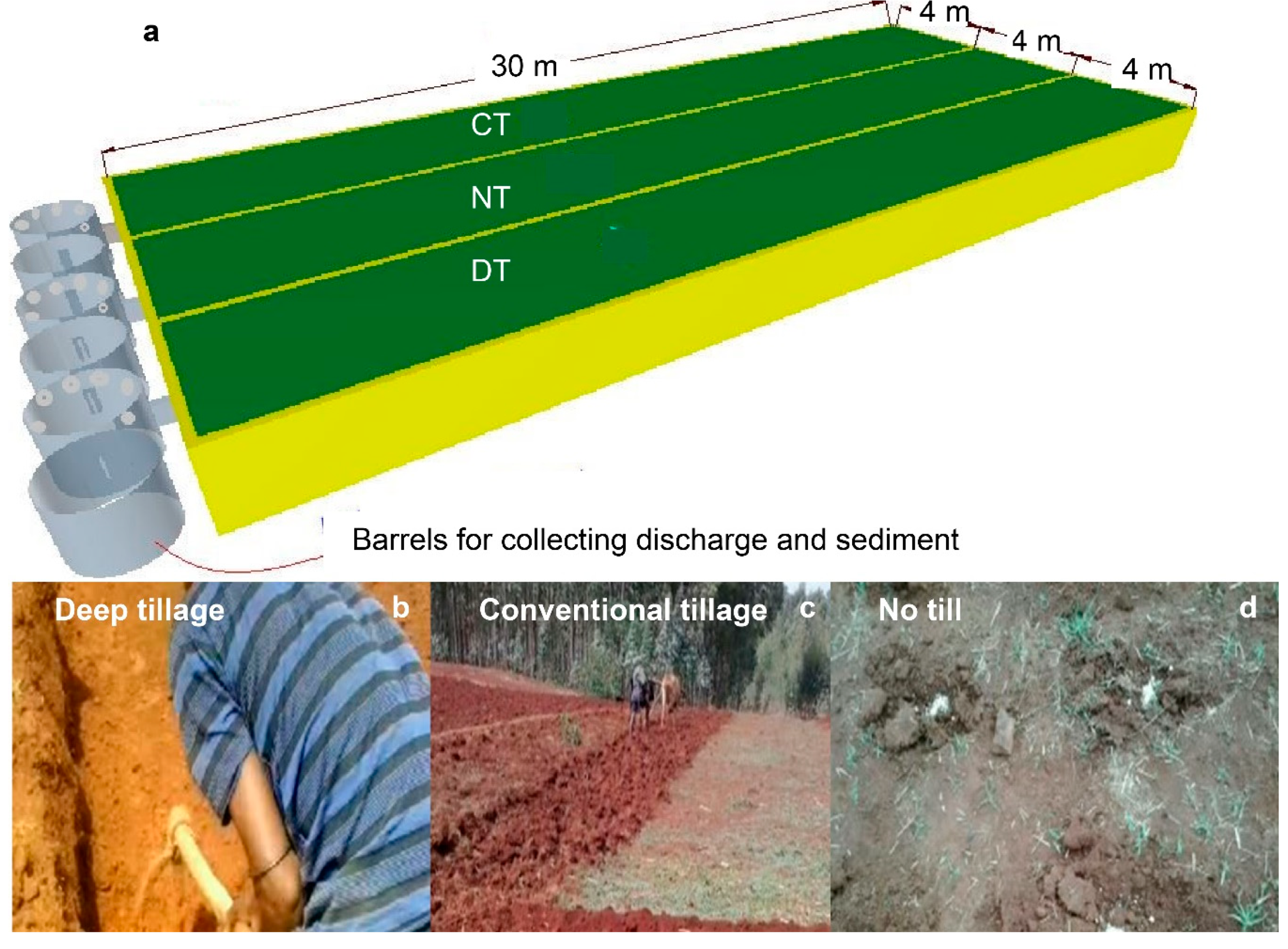 Land 08 00159 g003 Land 08 00159 g003