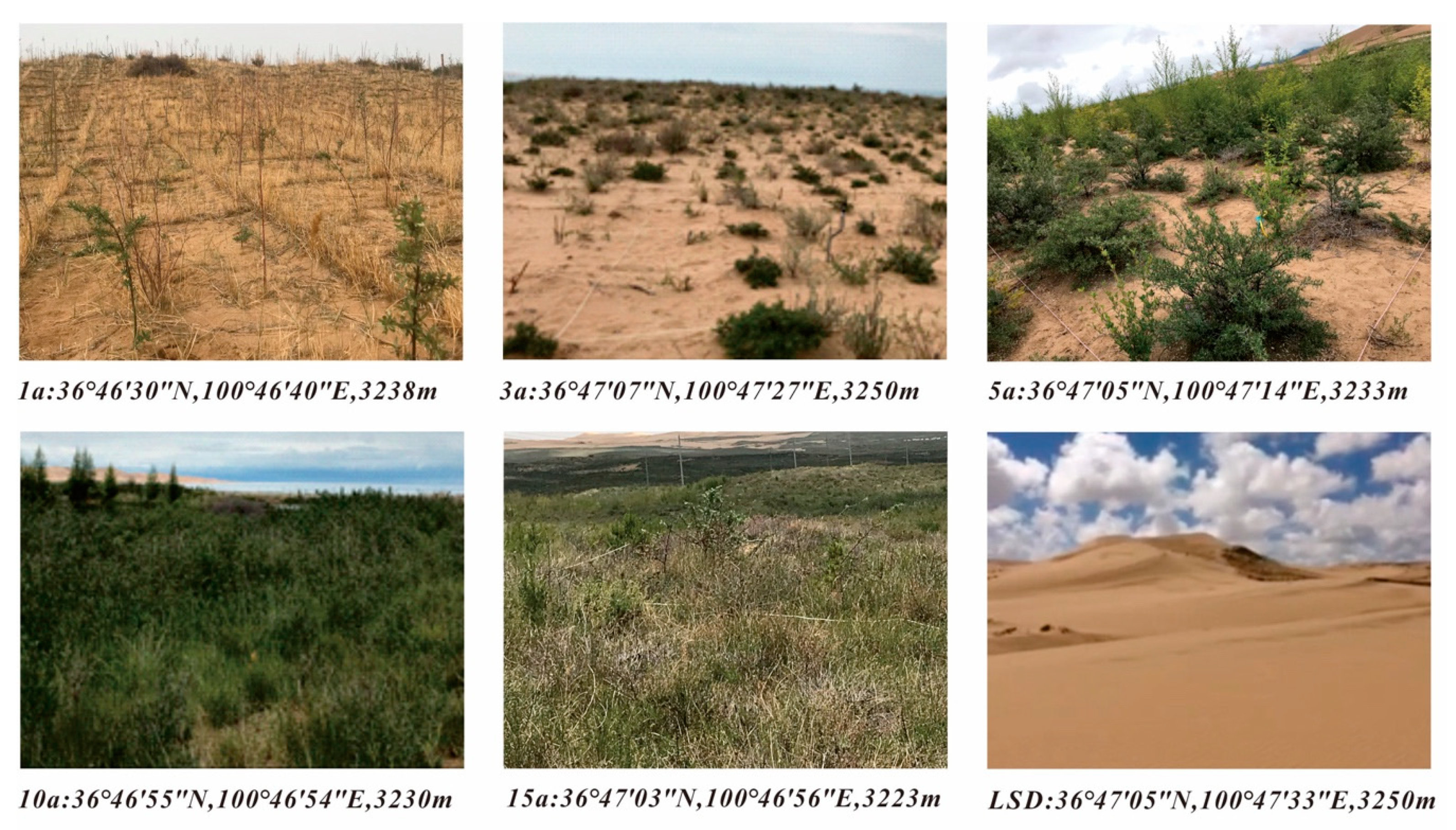 Land 08 00183 g002 Land 08 00183 g002