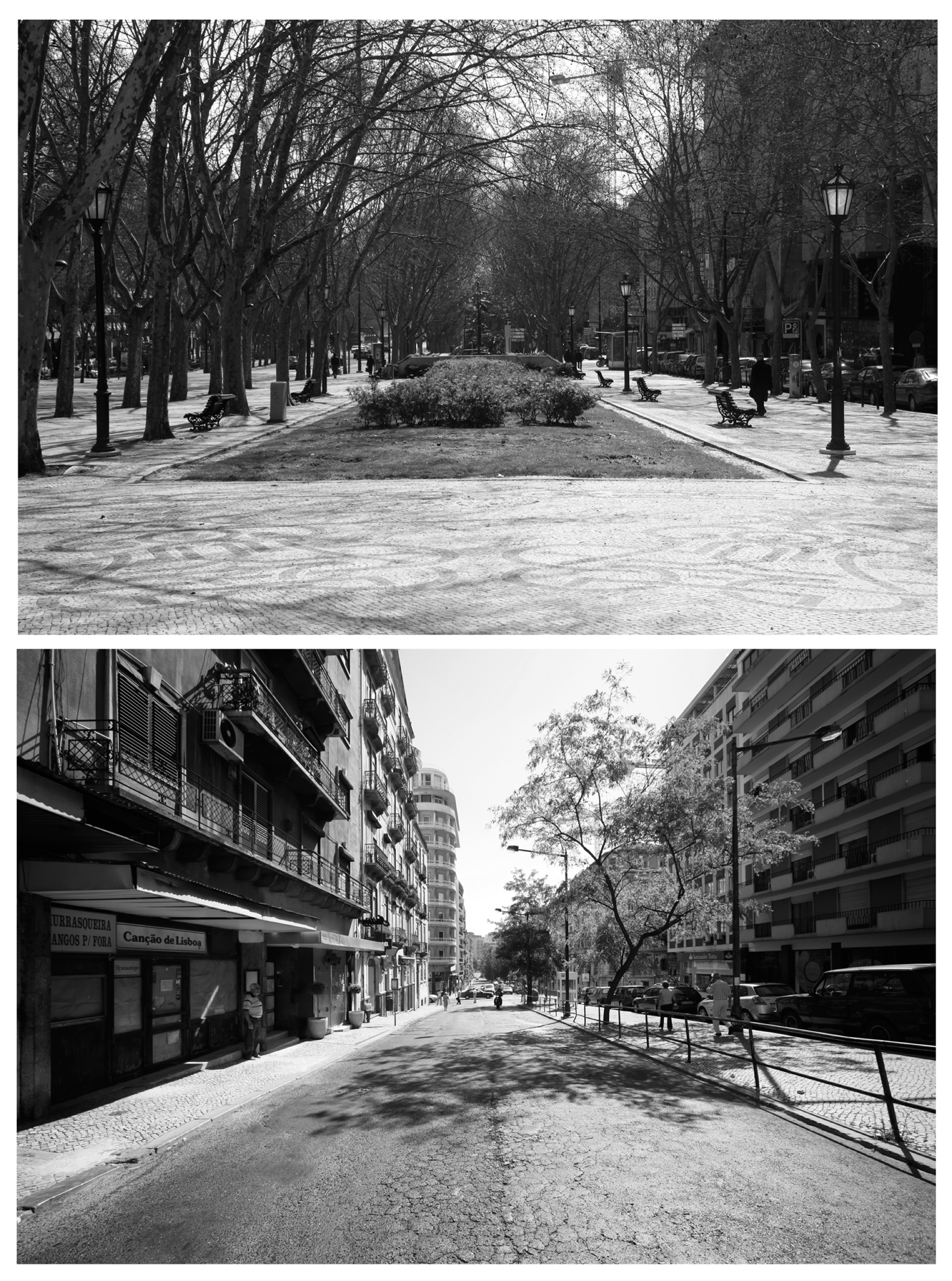 Land 09 00018 g009 550