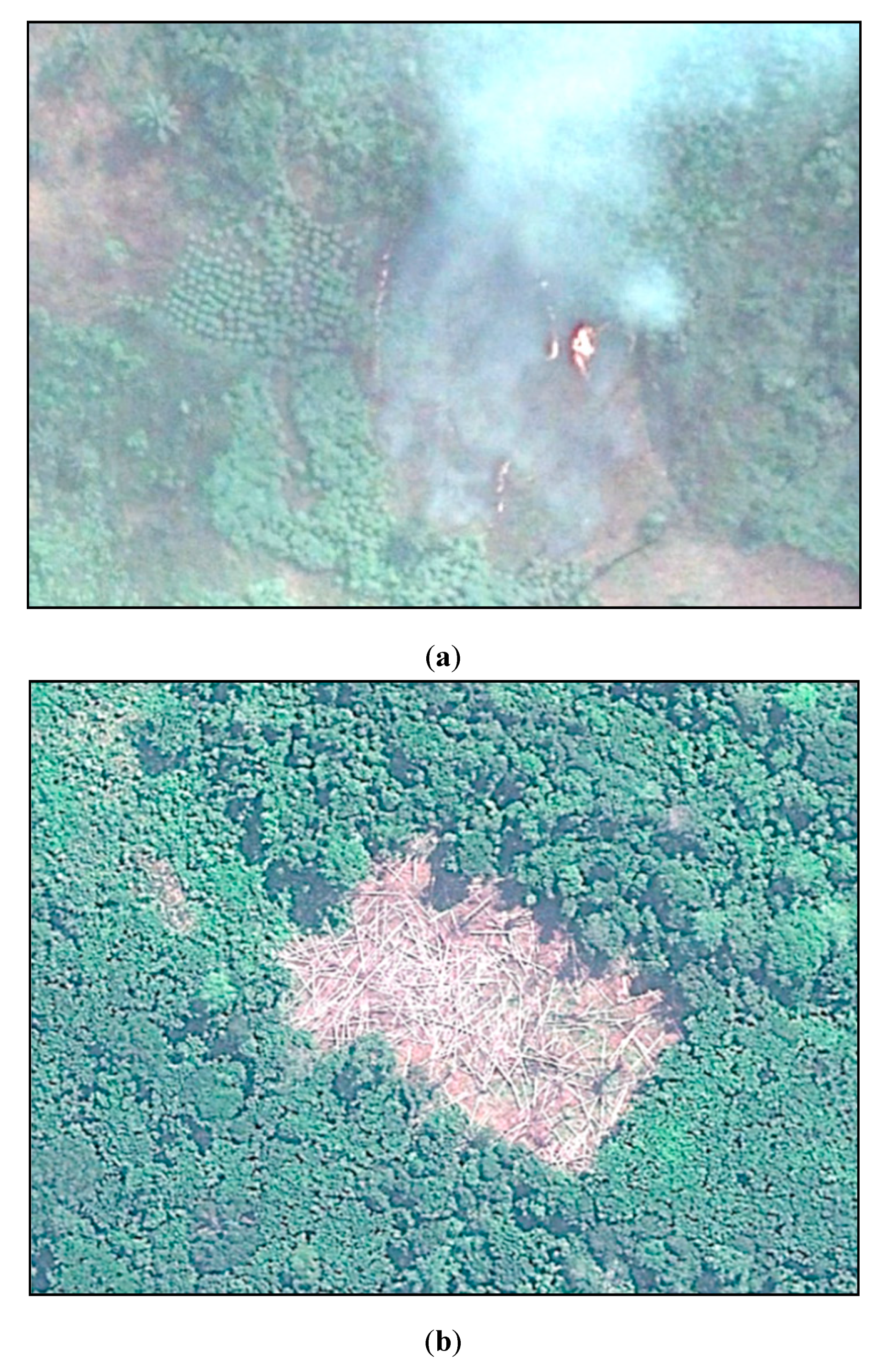 Land 09 00023 g001