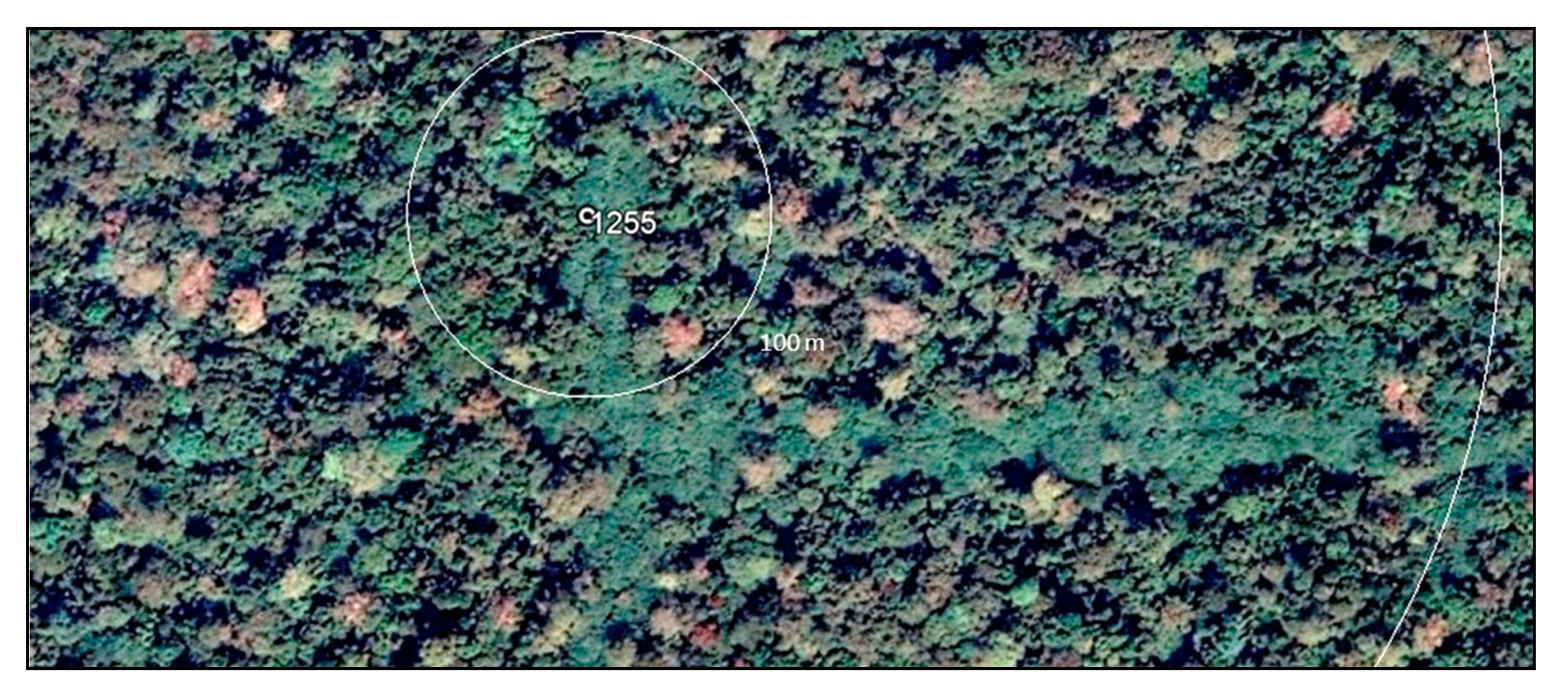 Land 09 00023 g010