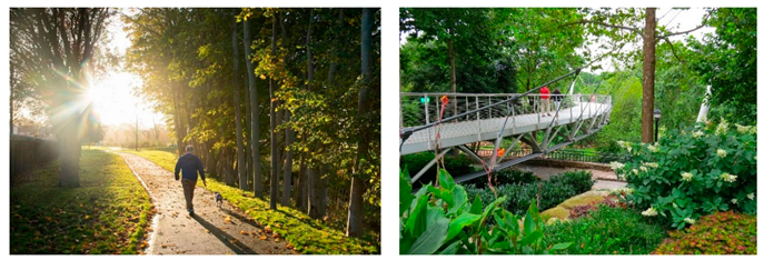 Land 09 00040 i005 Land 09 00040 i005