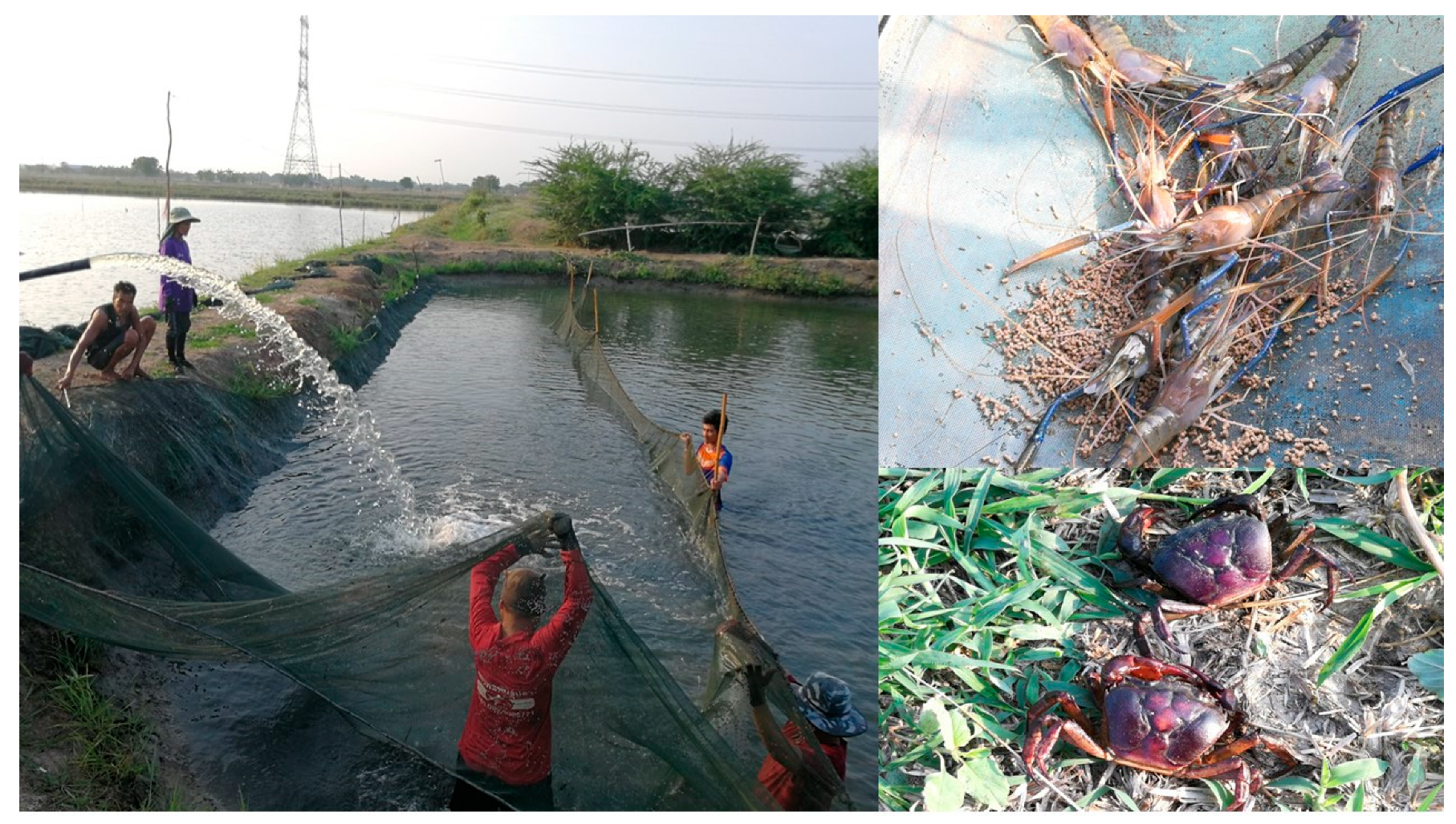 Land 09 00069 g004 Land 09 00069 g004