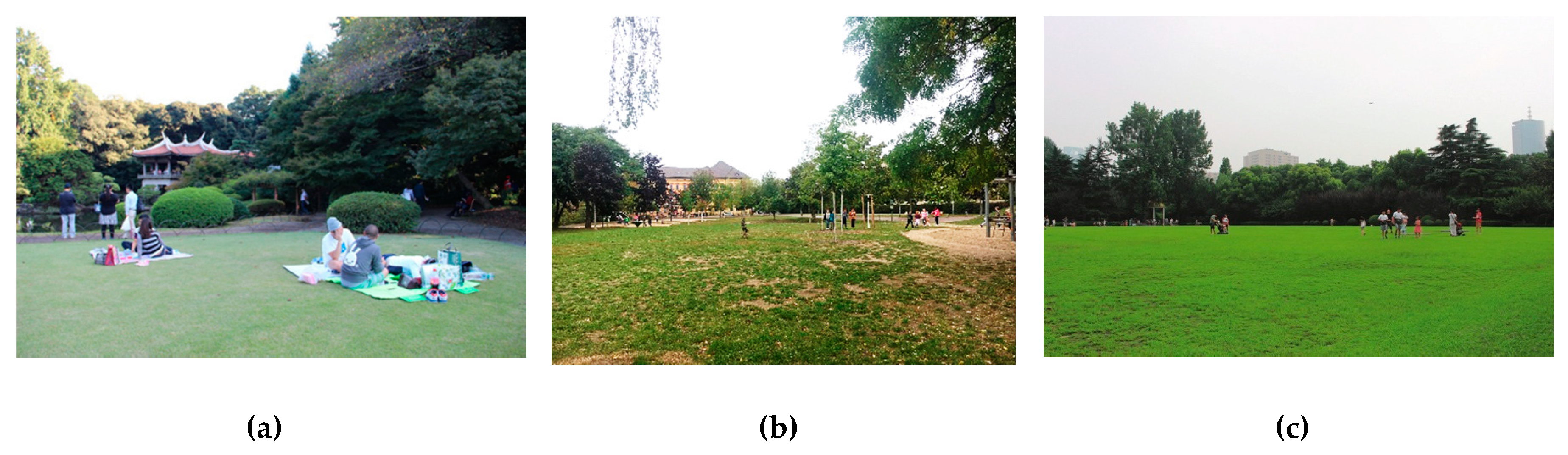 Land Free Full Text Lawns In Cities From A Globalised Urban