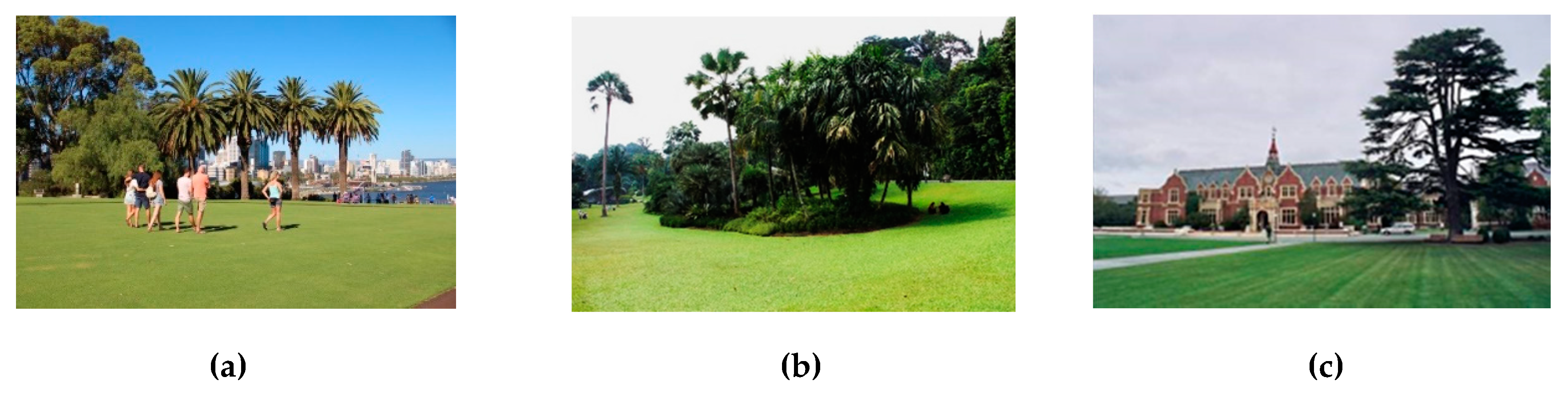 Land Free Full Text Lawns In Cities From A Globalised Urban