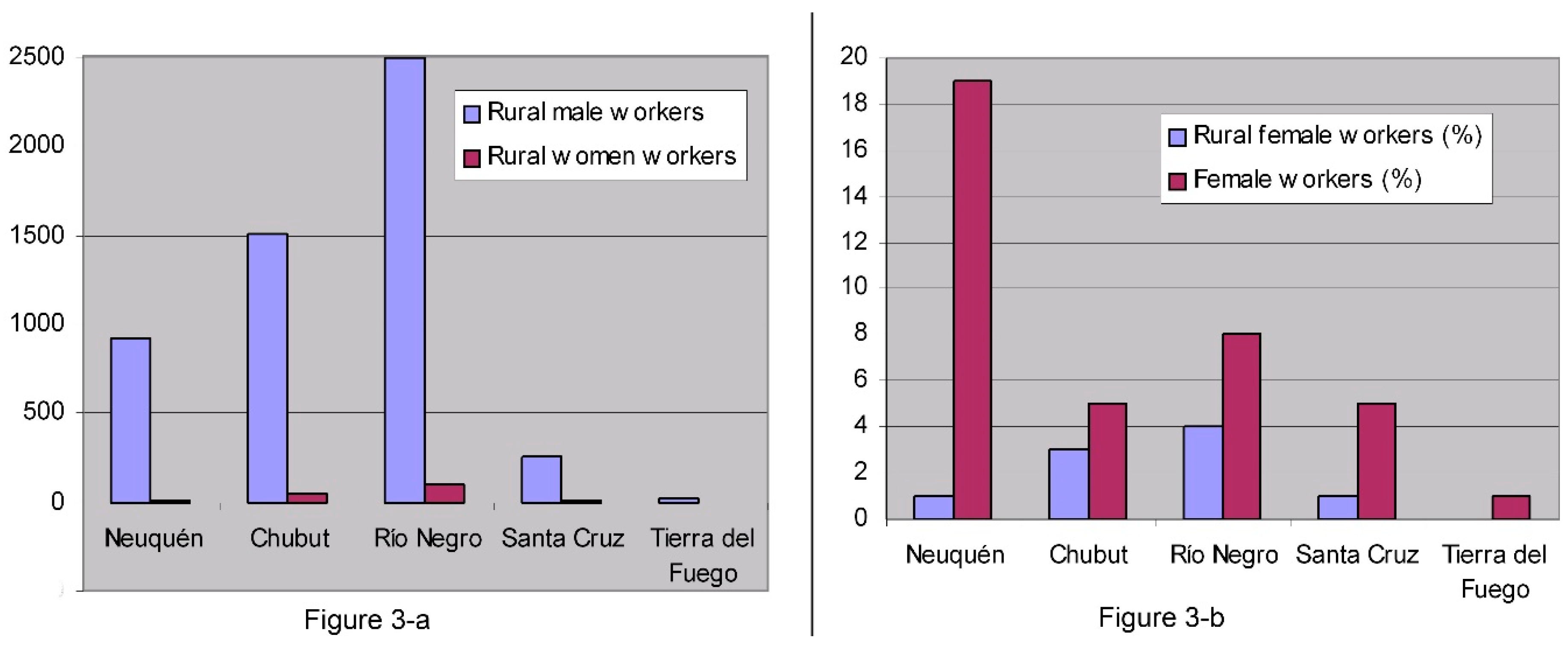 Land Free Full Text Rural Women S Invisible Work In Census And State Rural Development Plans The Argentinean Patagonian Case Html