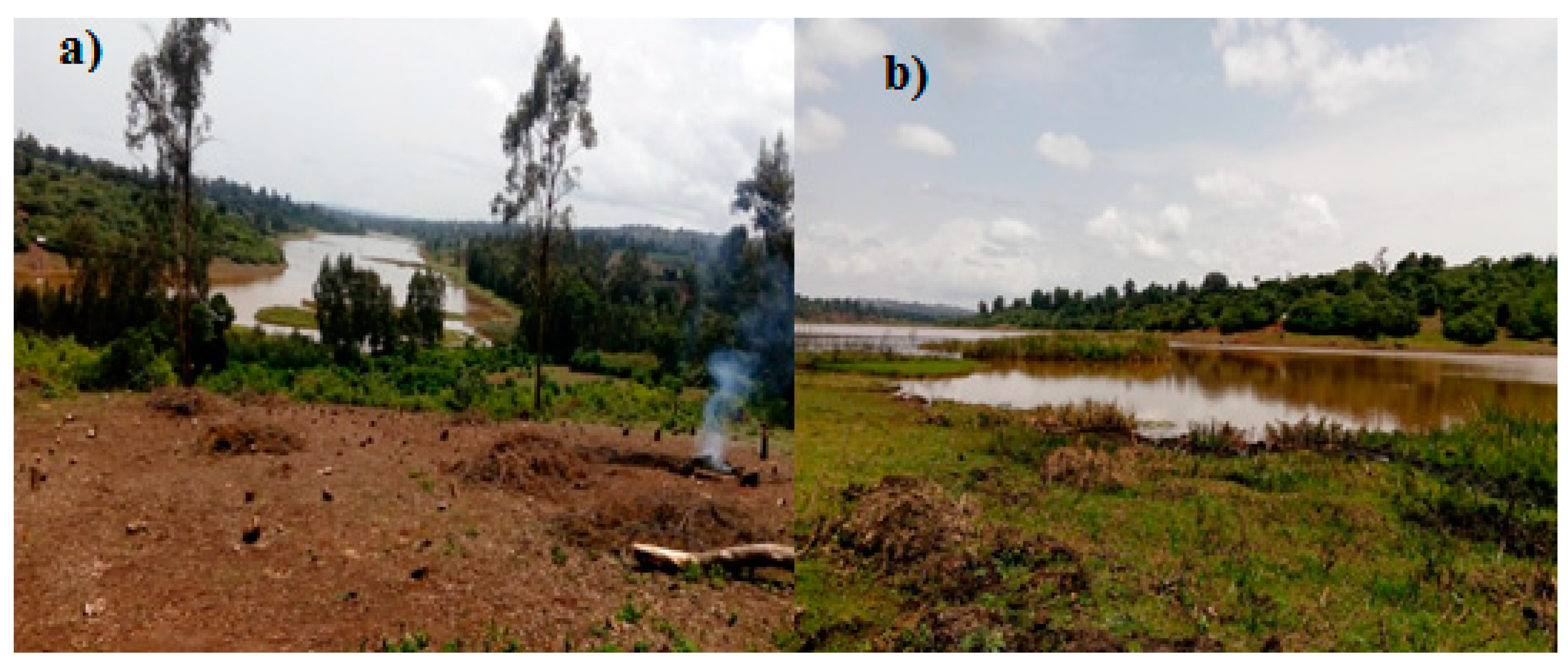 Land 09 00113 g005 Land 09 00113 g005