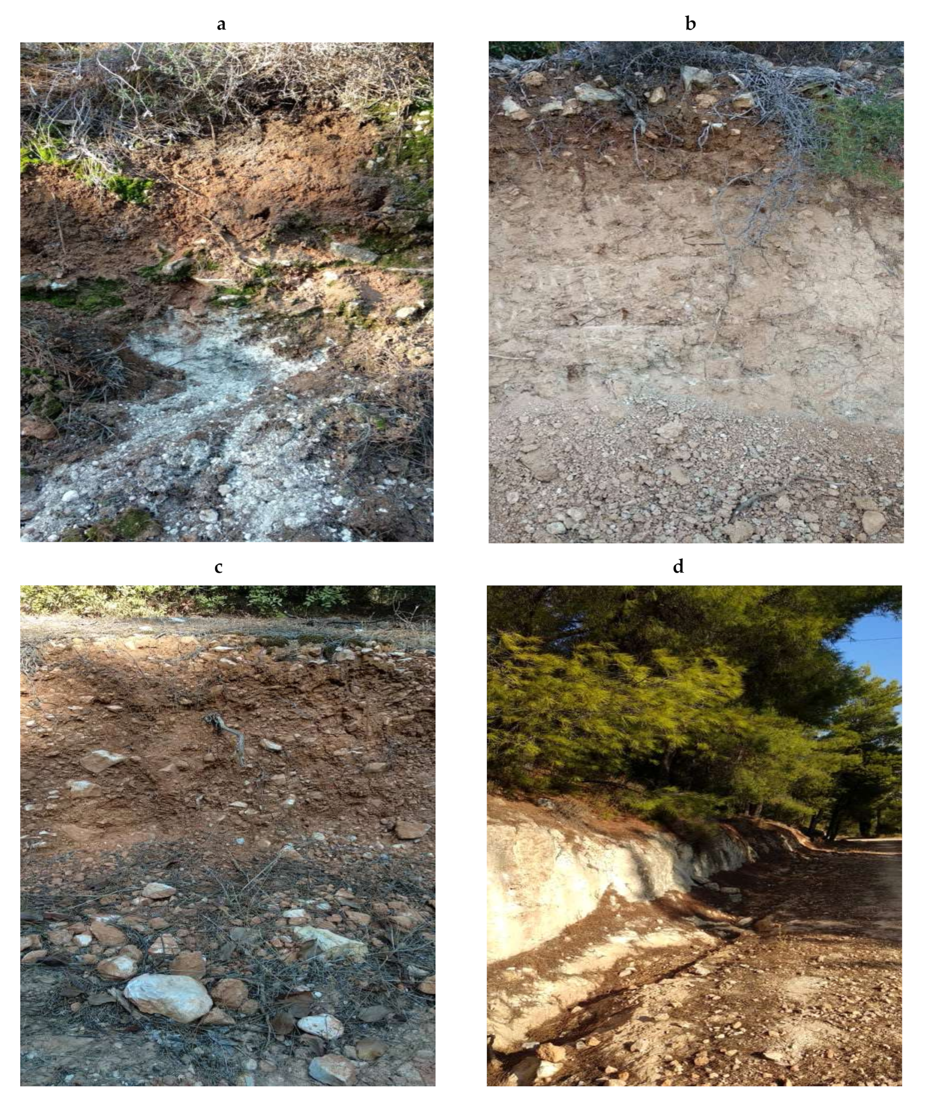 Land 09 00154 g005 Land 09 00154 g005