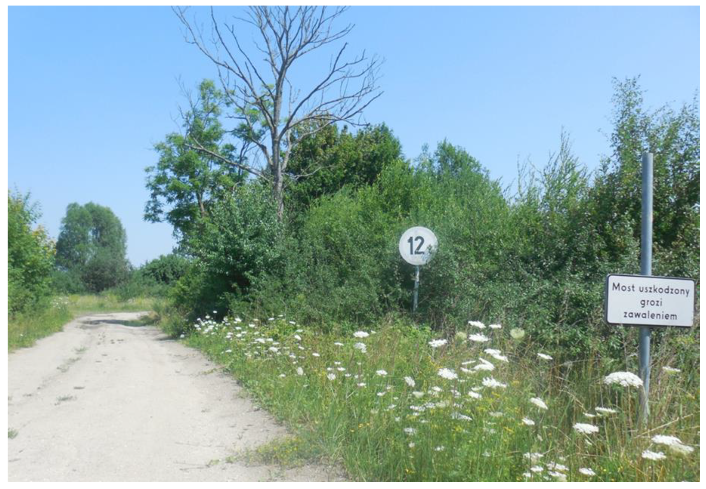 Land 09 00215 g005 Land 09 00215 g005