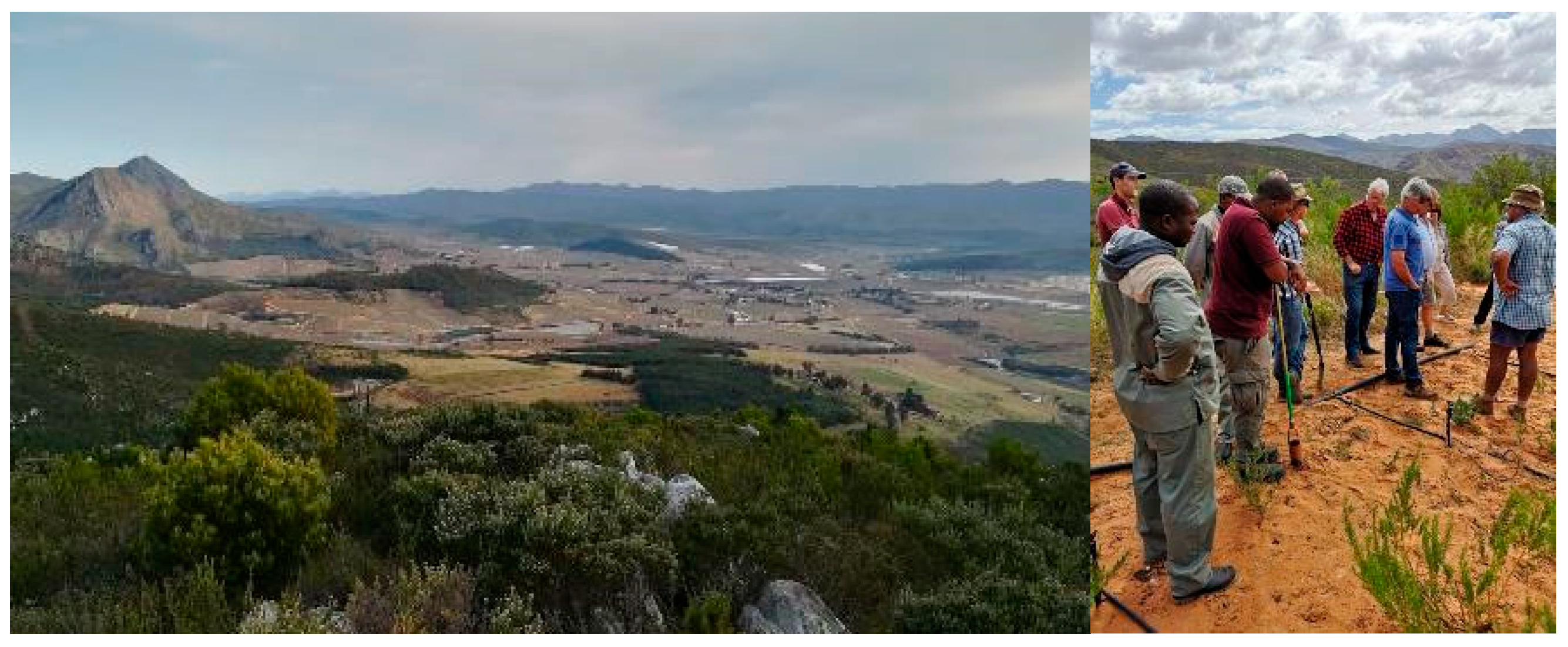 Land 09 00224 g002 Land 09 00224 g002