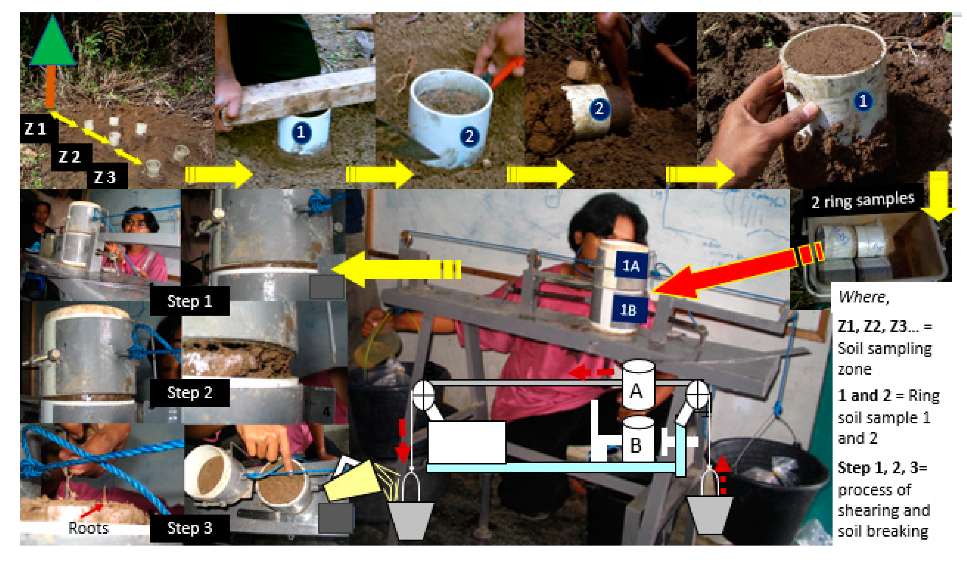 Land 09 00256 g002 Land 09 00256 g002