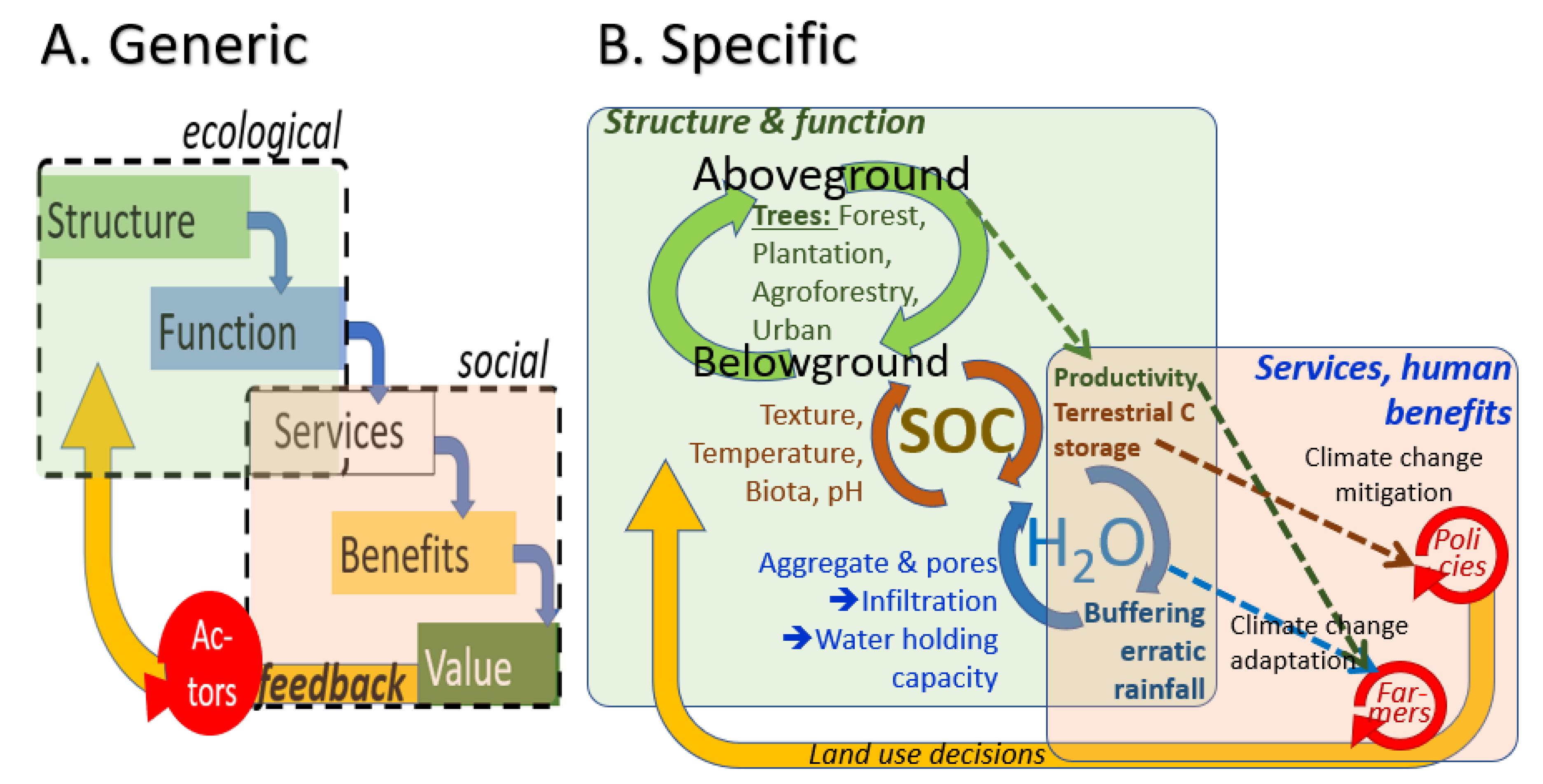 Land | Free Full-Text | Soil Organic Matter, Mitigation of and Adaptation  to Climate Change in Cocoa–Based Agroforestry Systems