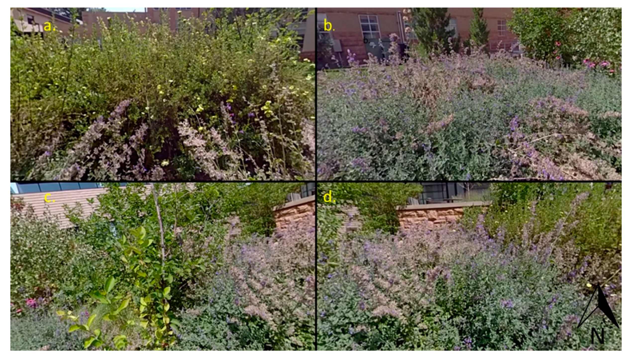 Land 09 00340 g004 Land 09 00340 g004