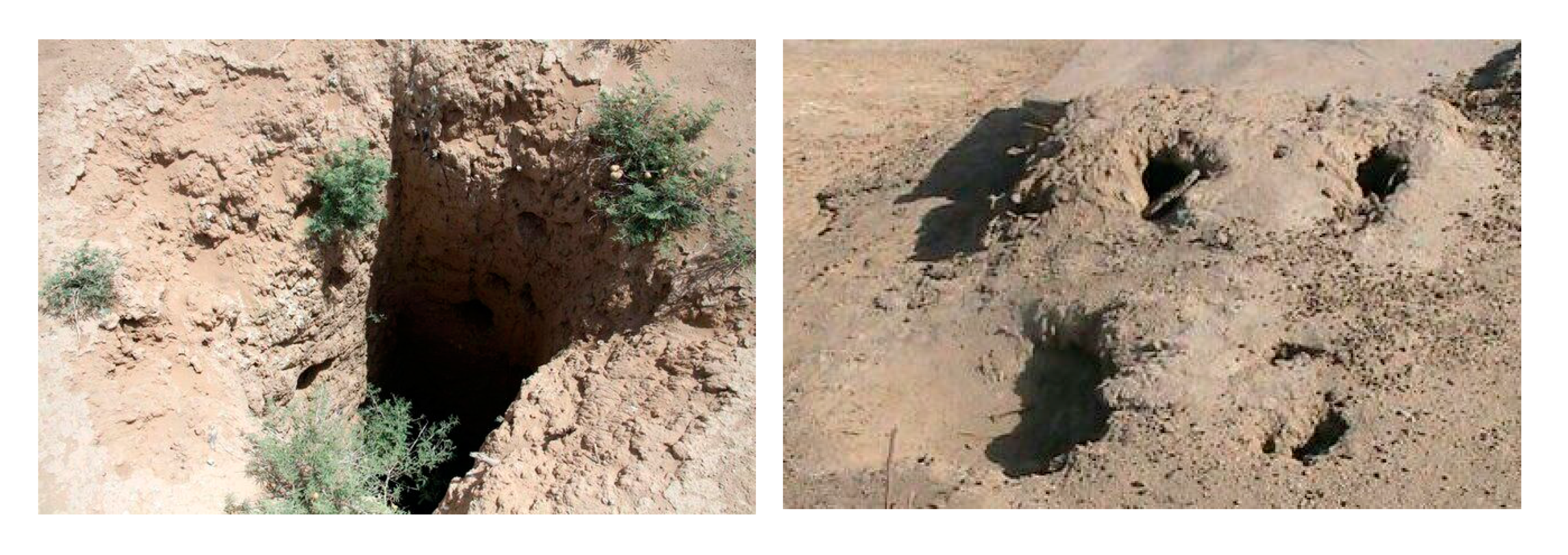 Land 09 00346 g002 Land 09 00346 g002