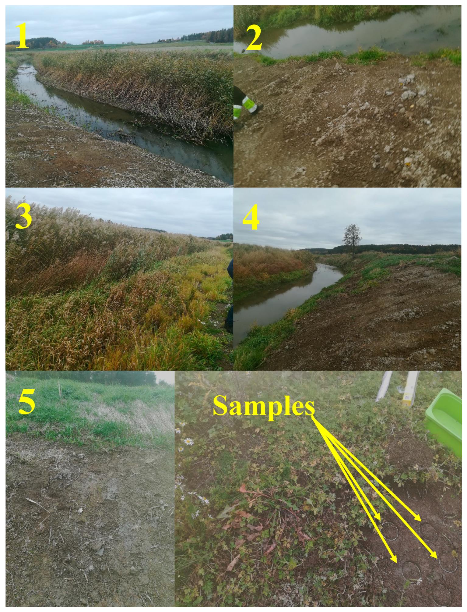 Land 09 00441 g002 Land 09 00441 g002