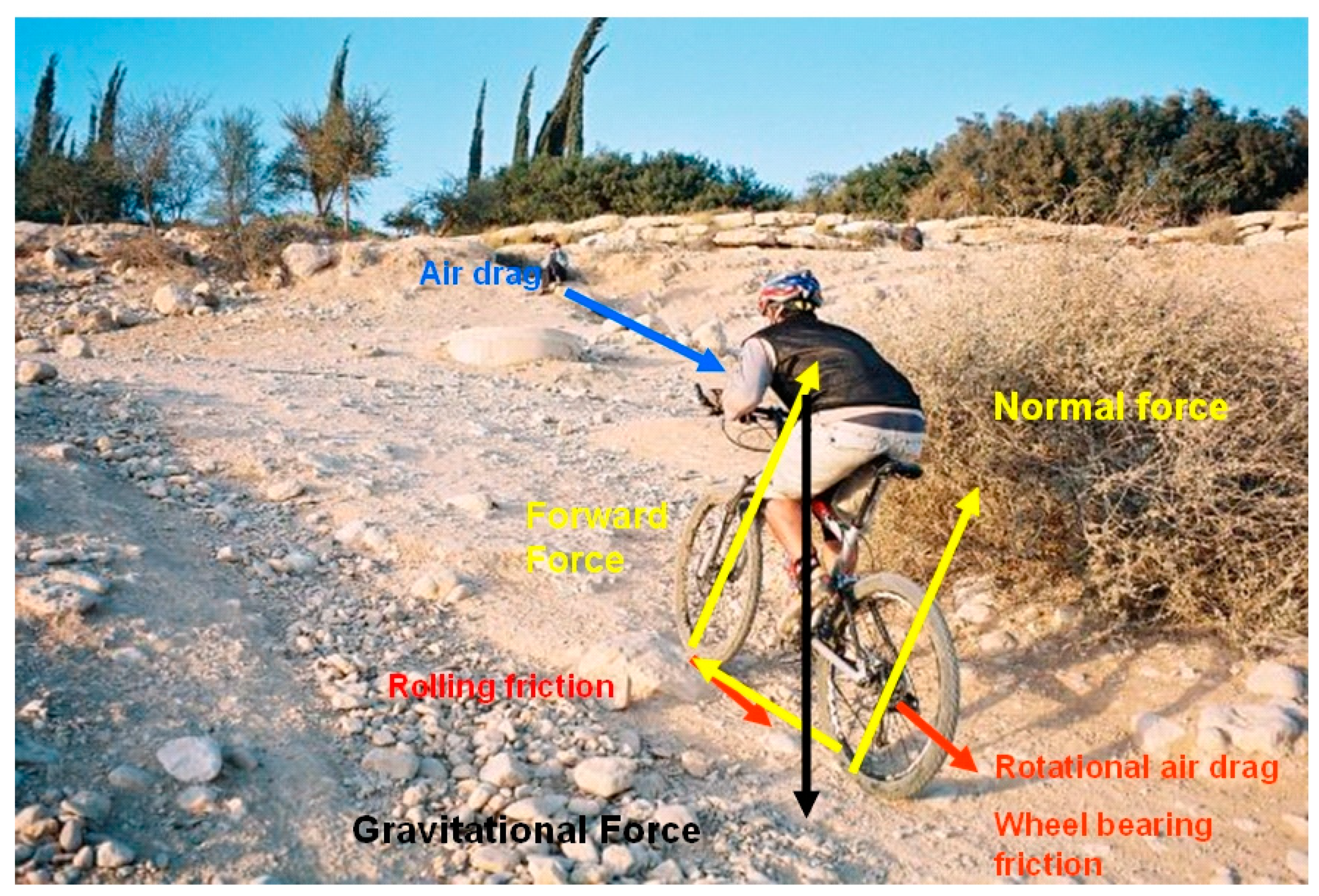 singletracks