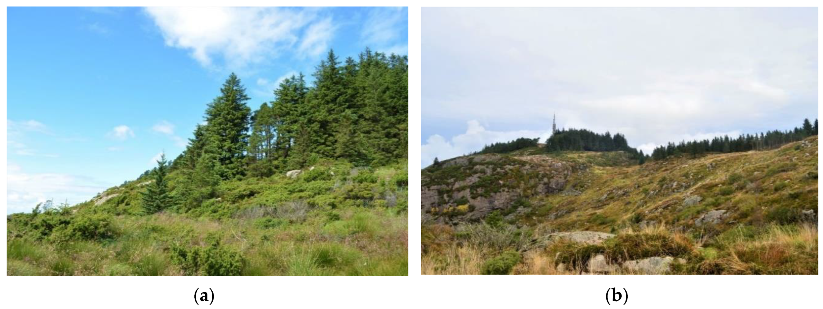 Land 09 00485 g007 Land 09 00485 g007