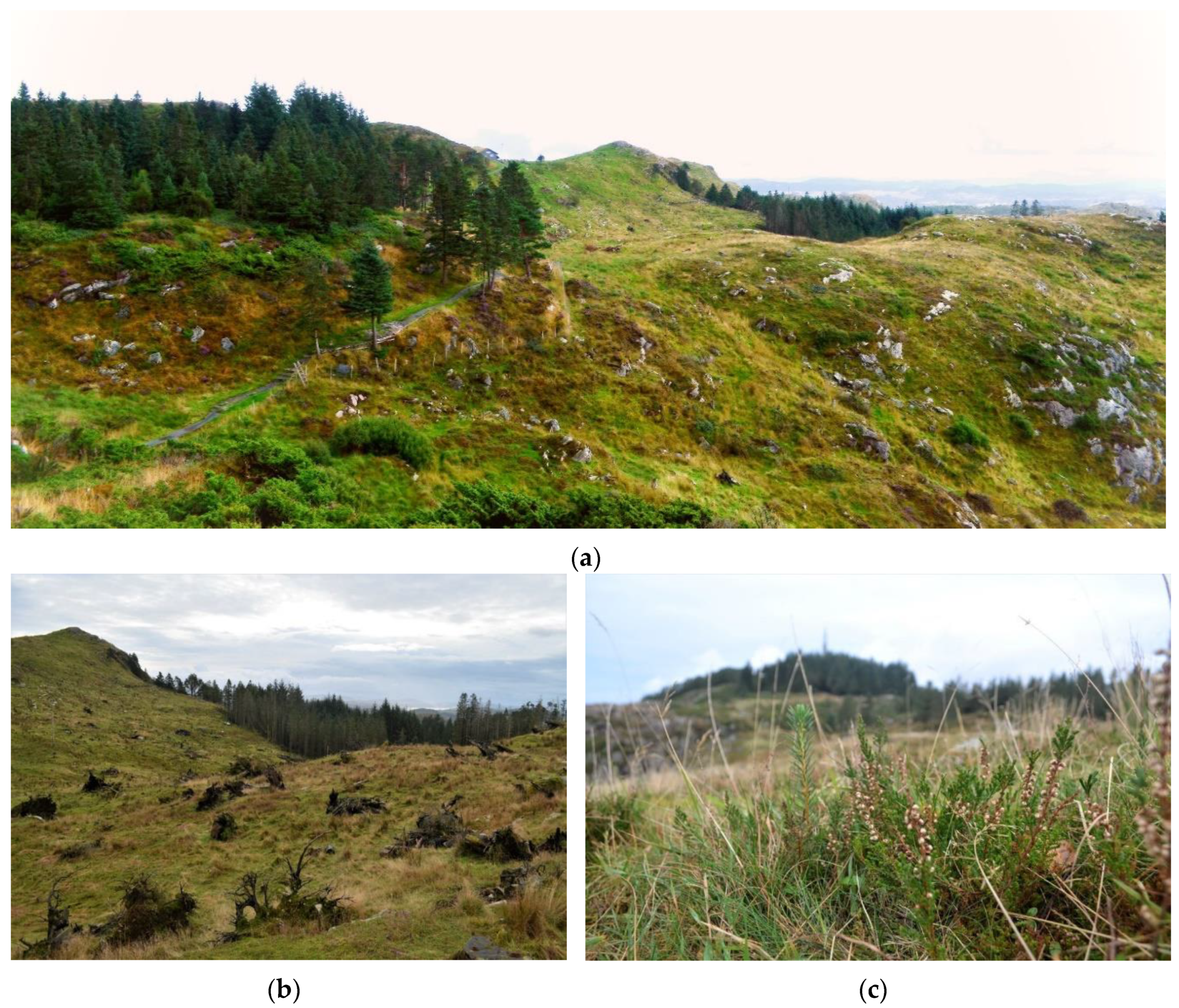 Land 09 00485 g009 Land 09 00485 g009