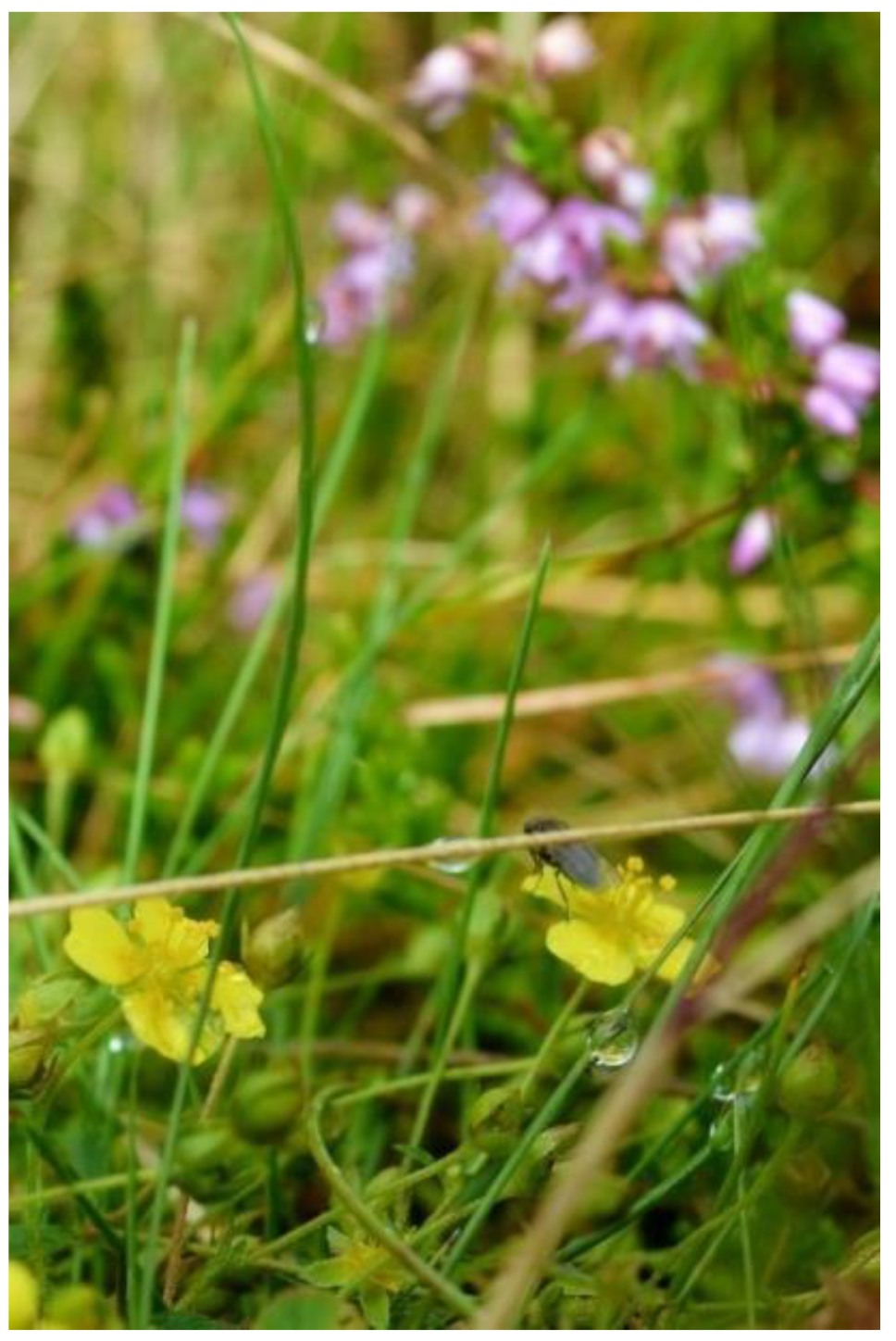 Land 09 00485 g010 Land 09 00485 g010