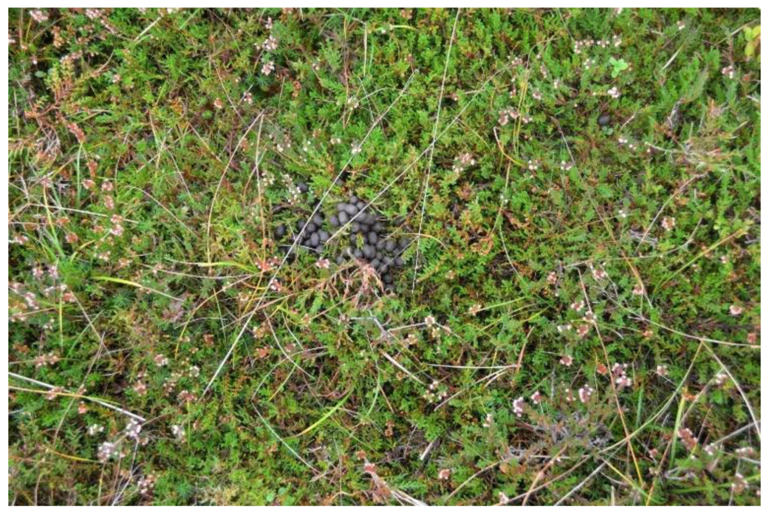 Land 09 00485 g014 Land 09 00485 g014