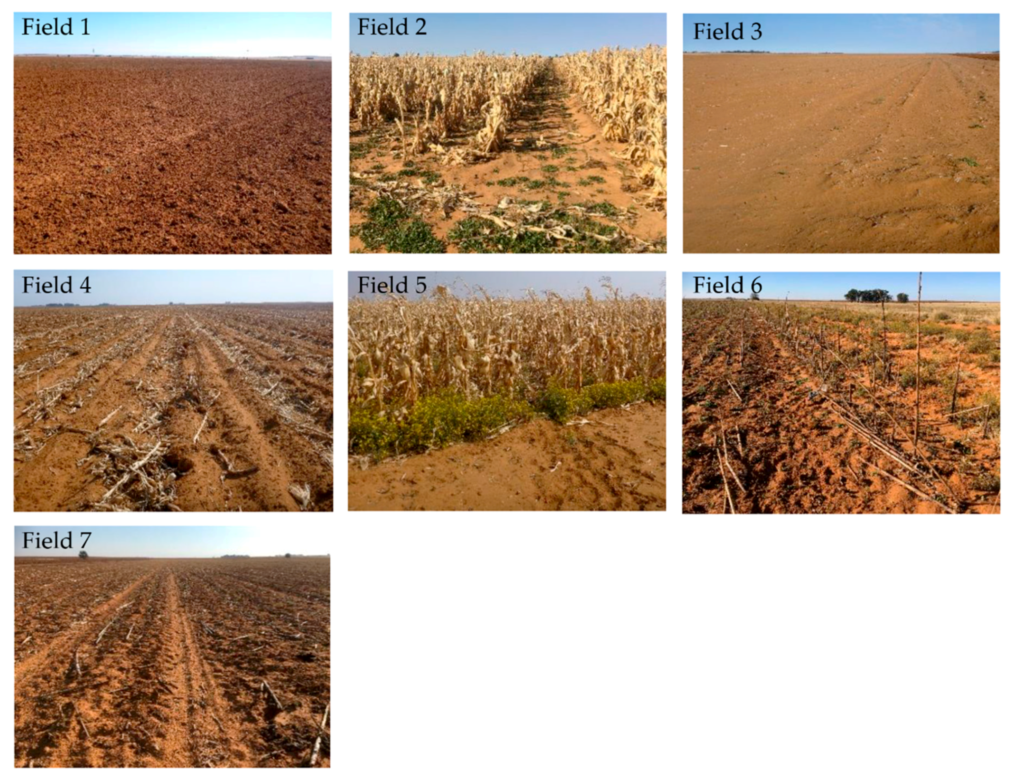 Land 09 00503 g004 Land 09 00503 g004