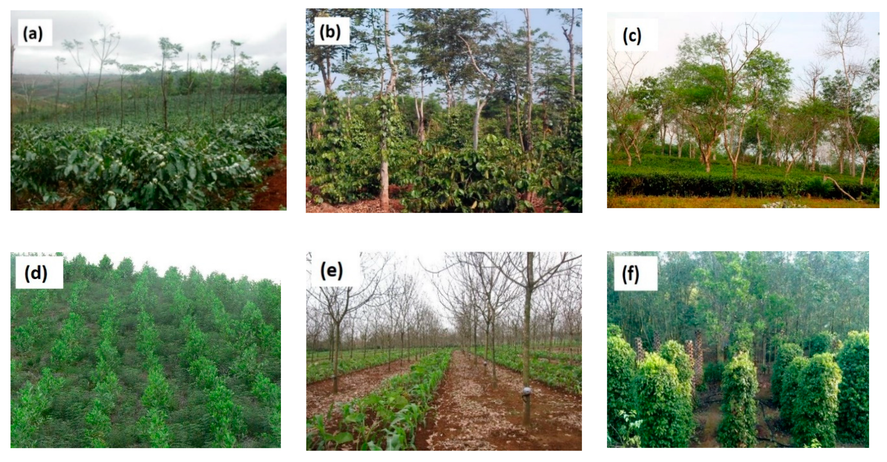 Land 09 00528 g002a Land 09 00528 g002a