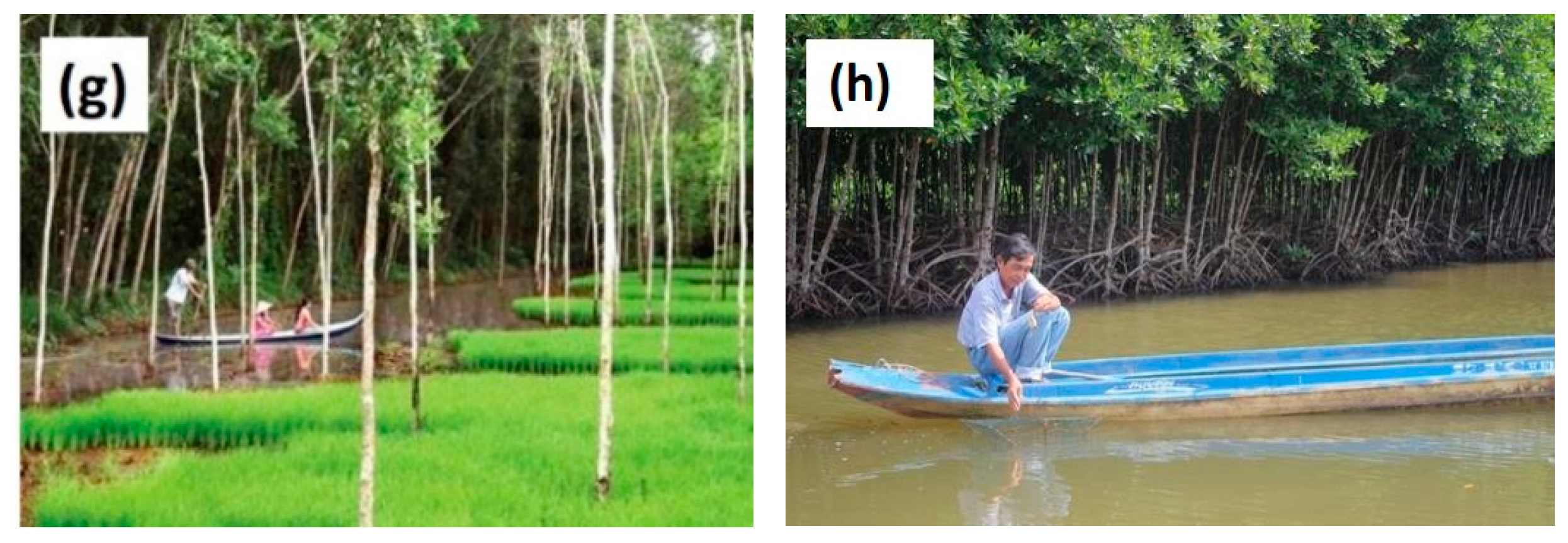 Land 09 00528 g002b Land 09 00528 g002b