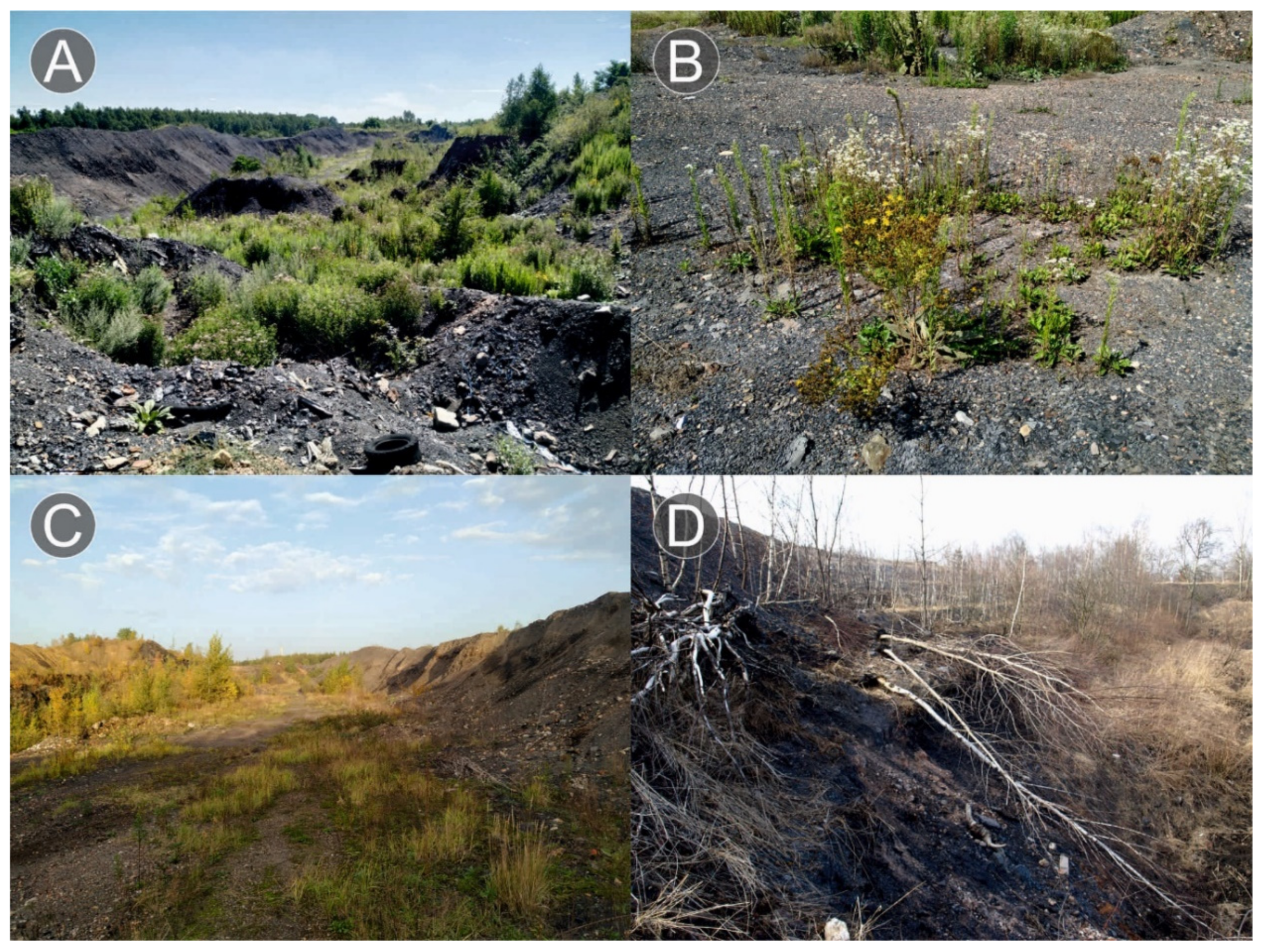 Land 10 00023 g010 Land 10 00023 g010