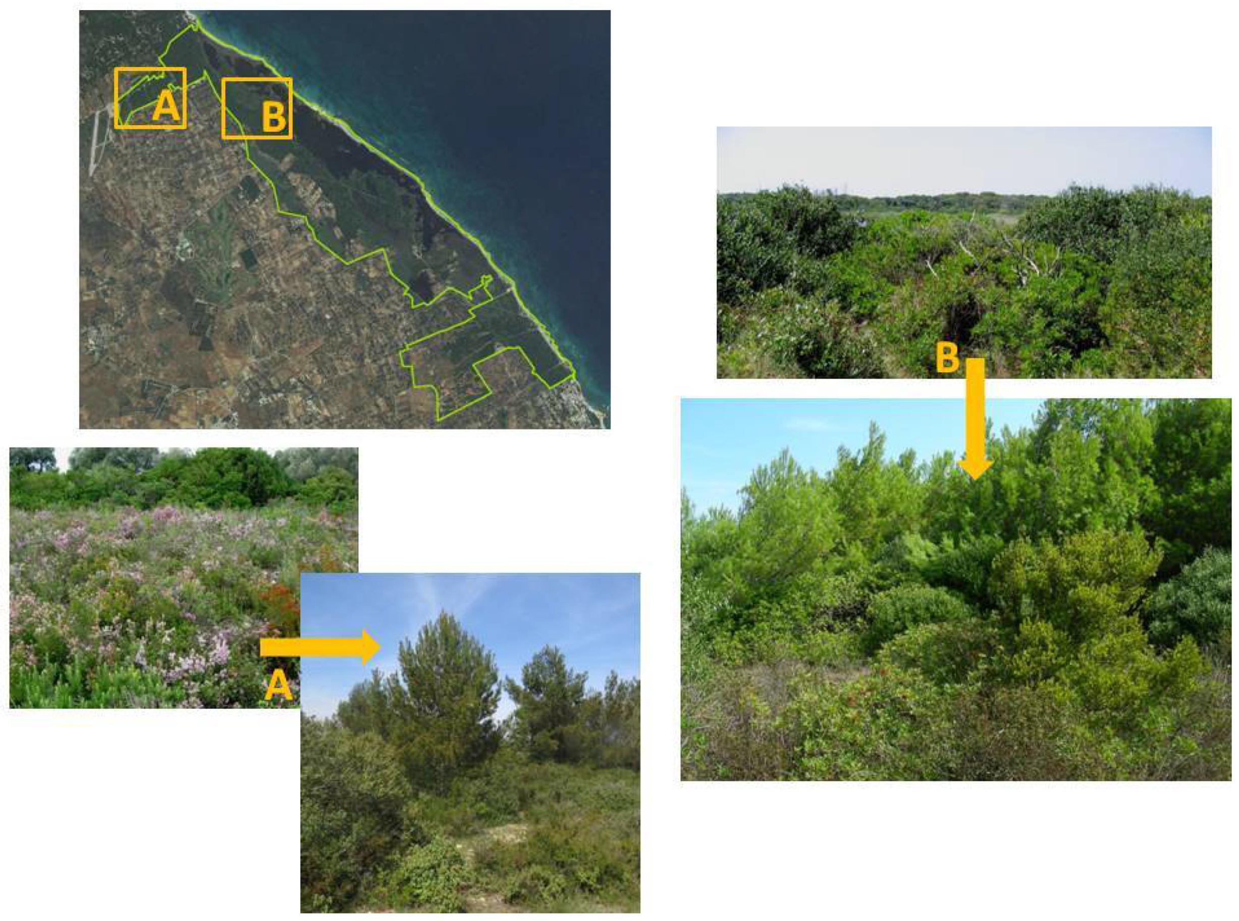 Land 10 00050 g009 Land 10 00050 g009