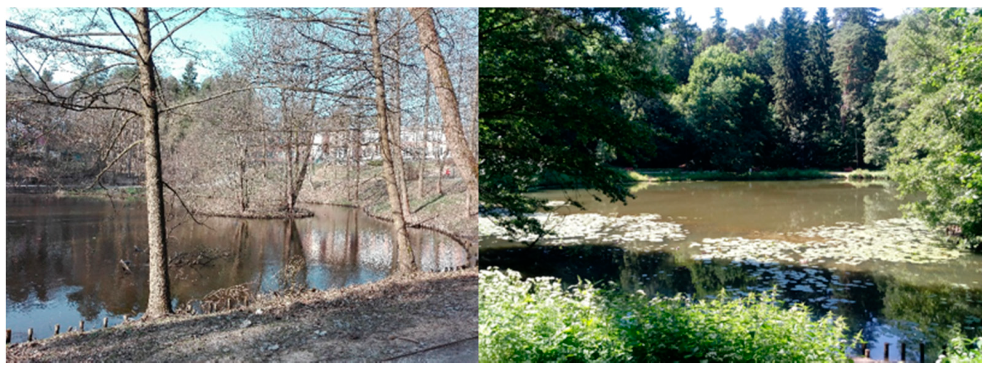 Land 10 00066 g002 Land 10 00066 g002