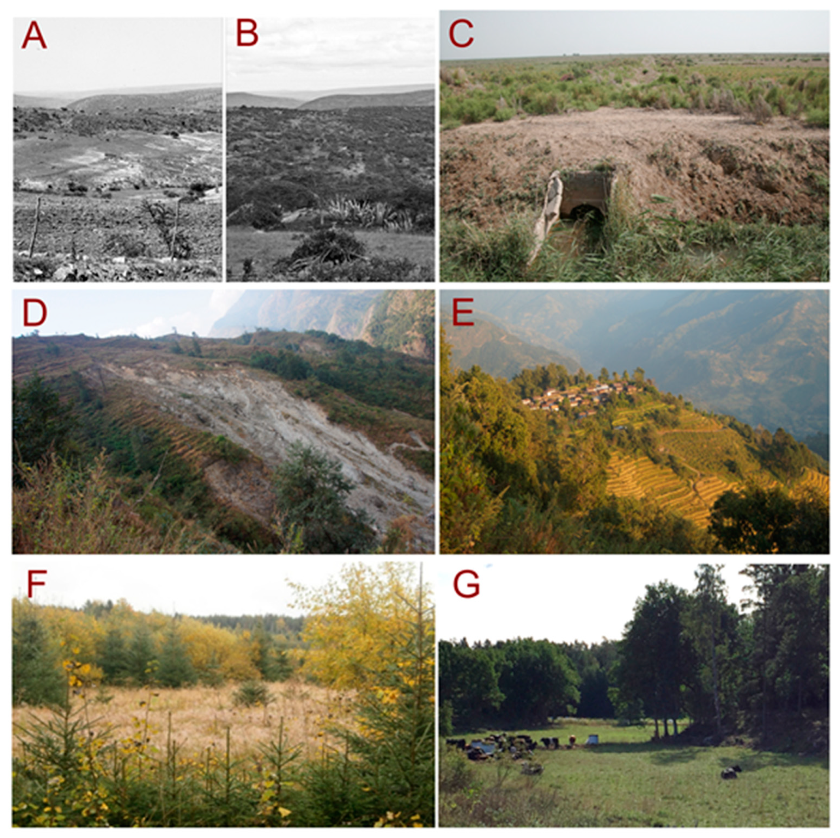 Land 10 00097 g003 Land 10 00097 g003