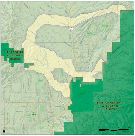 The Proliferation of Dark Forest communities – Scott Davies