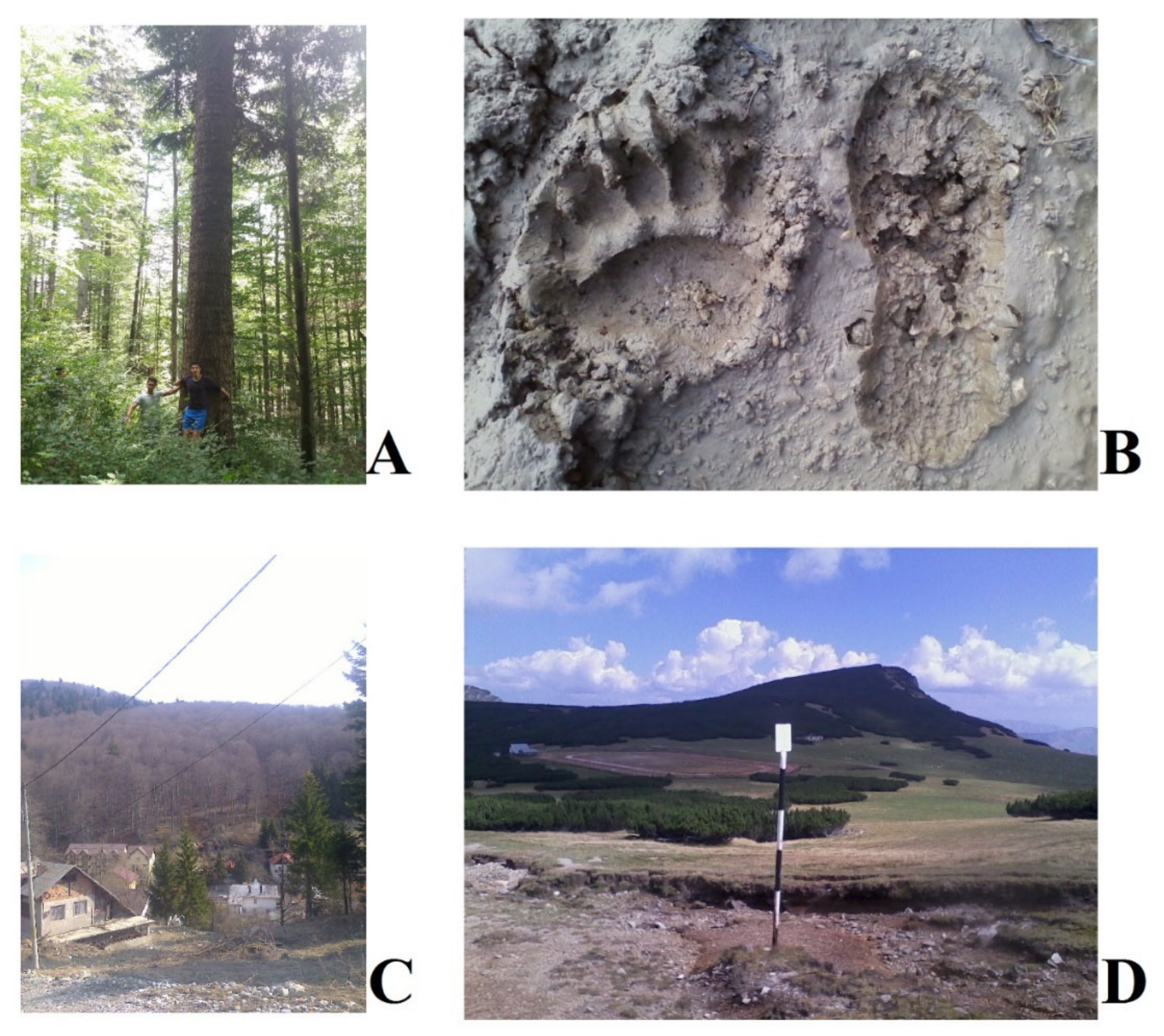 Land 10 00146 g001 Land 10 00146 g001