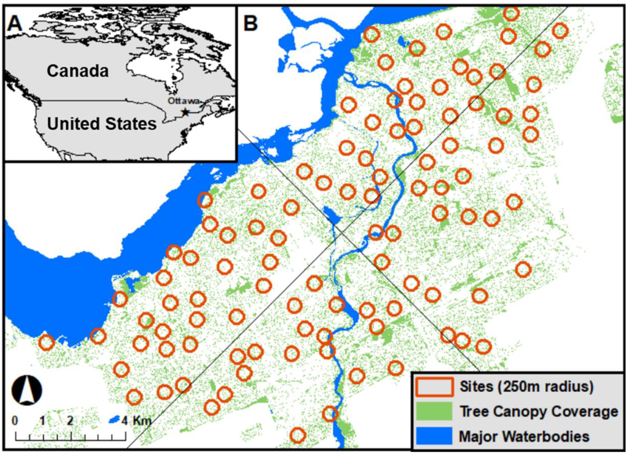 Land 10 00153 g001 Land 10 00153 g001
