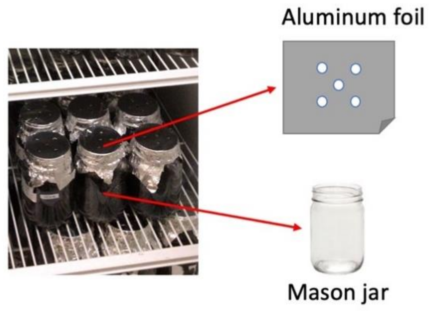 Land 10 00189 g001 Land 10 00189 g001