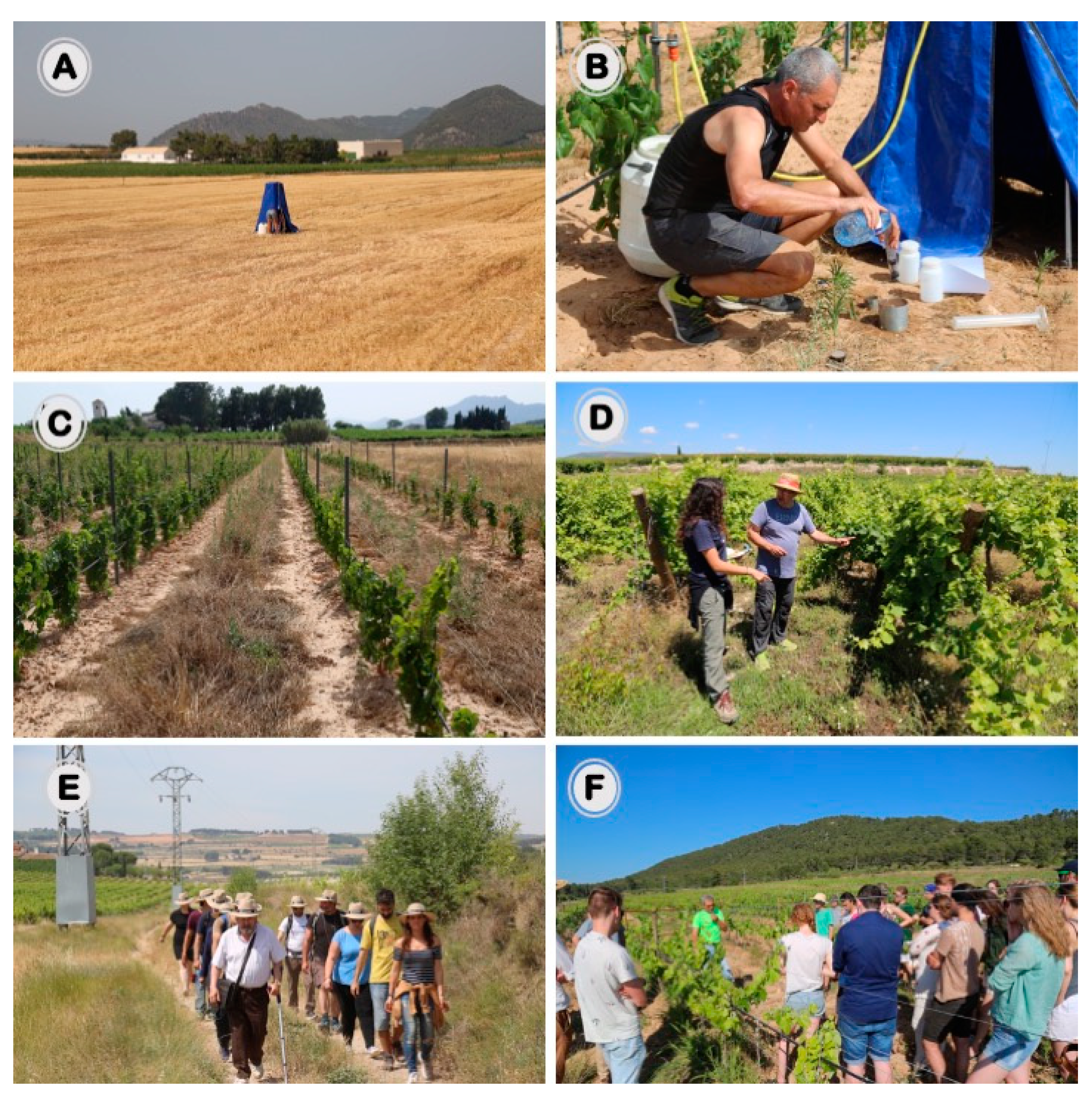 Land 10 00205 g008 Land 10 00205 g008