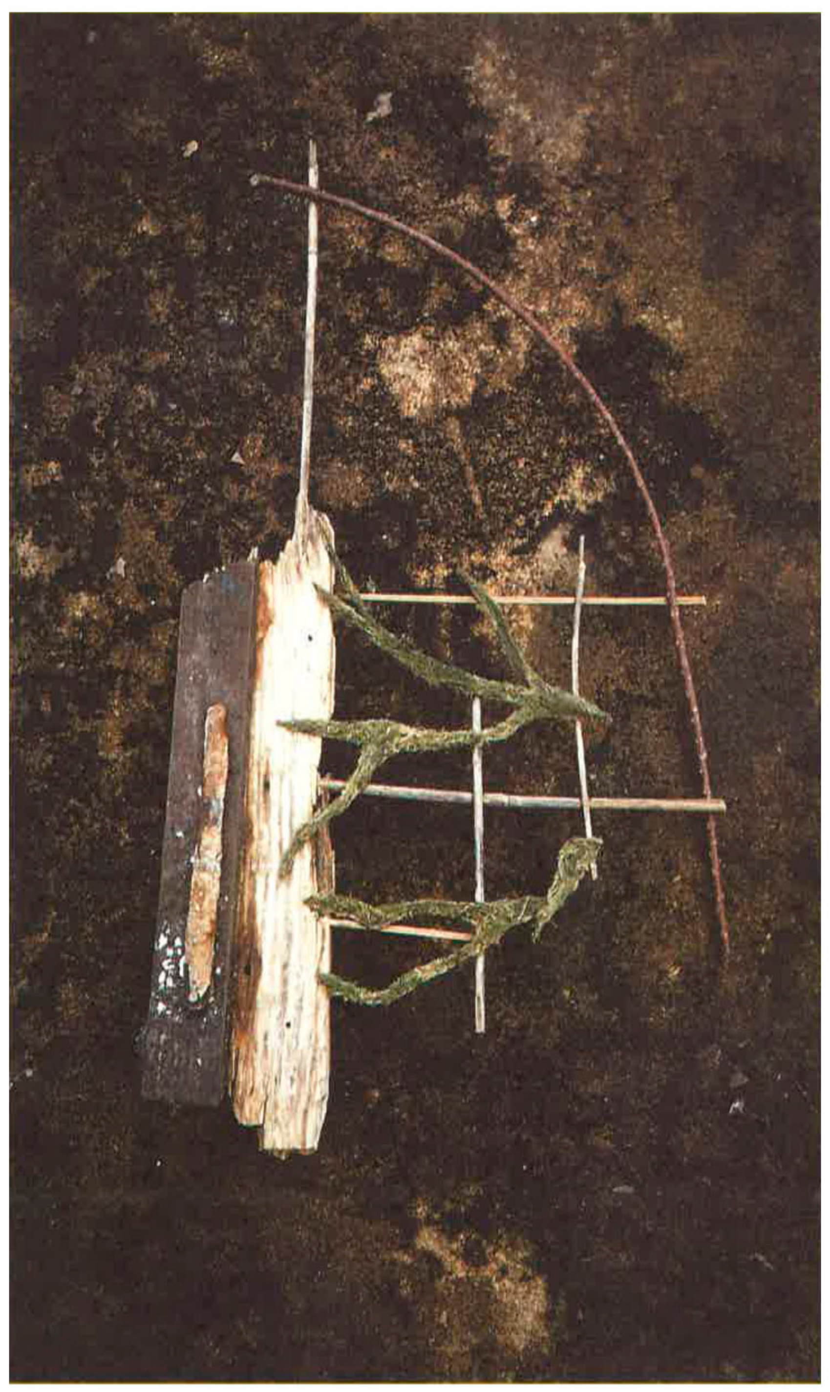 Land 10 00237 g010 550