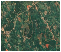 Land 10 00244 i011 Land 10 00244 i011