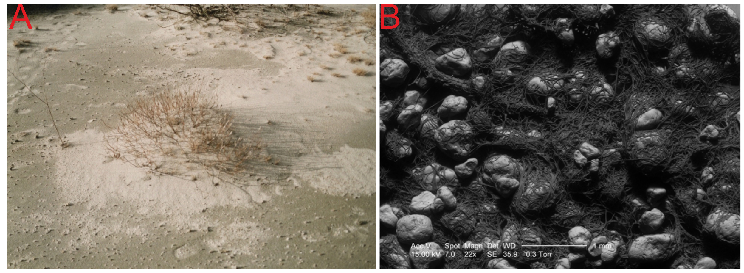 Land 10 00265 g003 Land 10 00265 g003