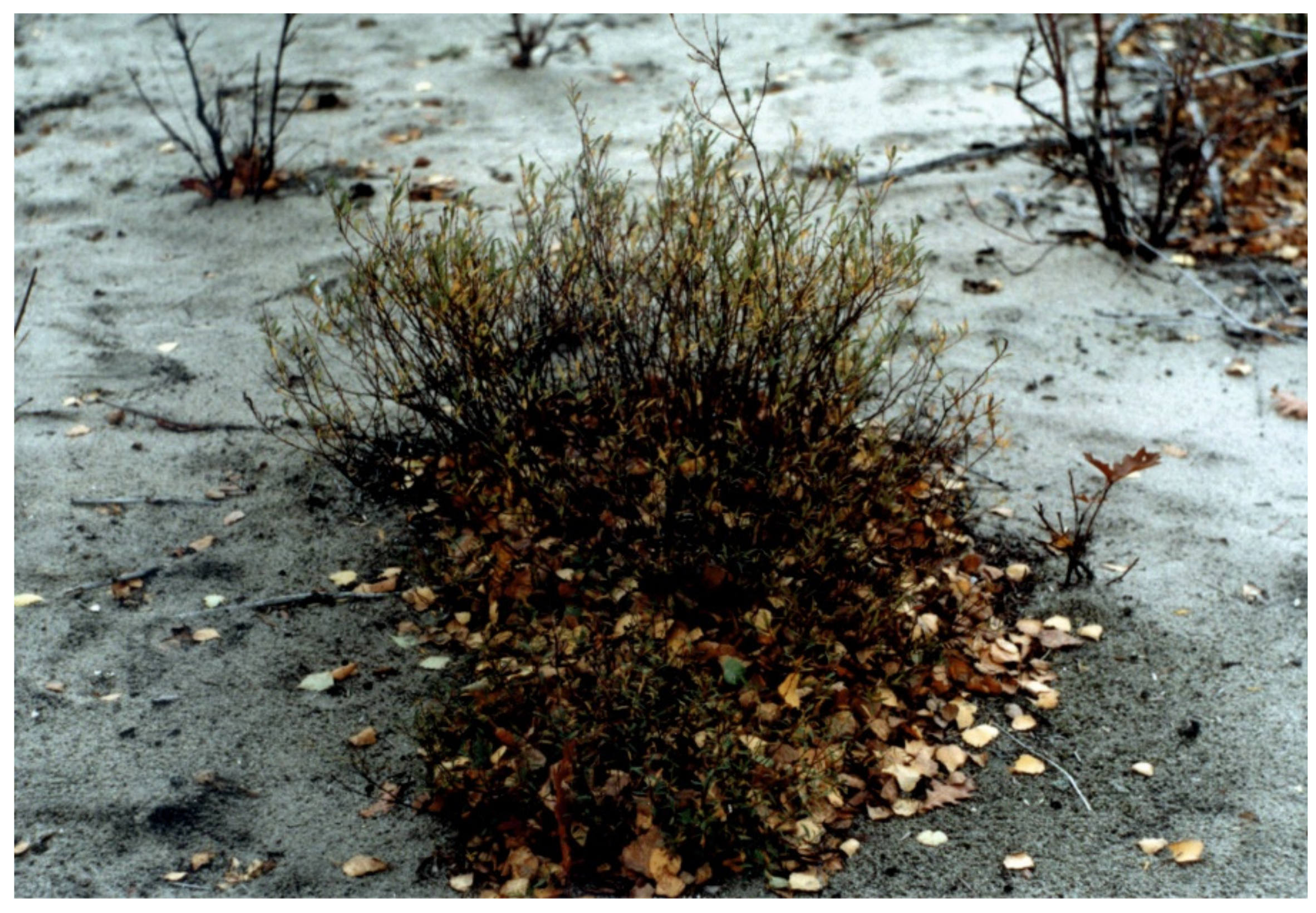 Land 10 00265 g004 Land 10 00265 g004